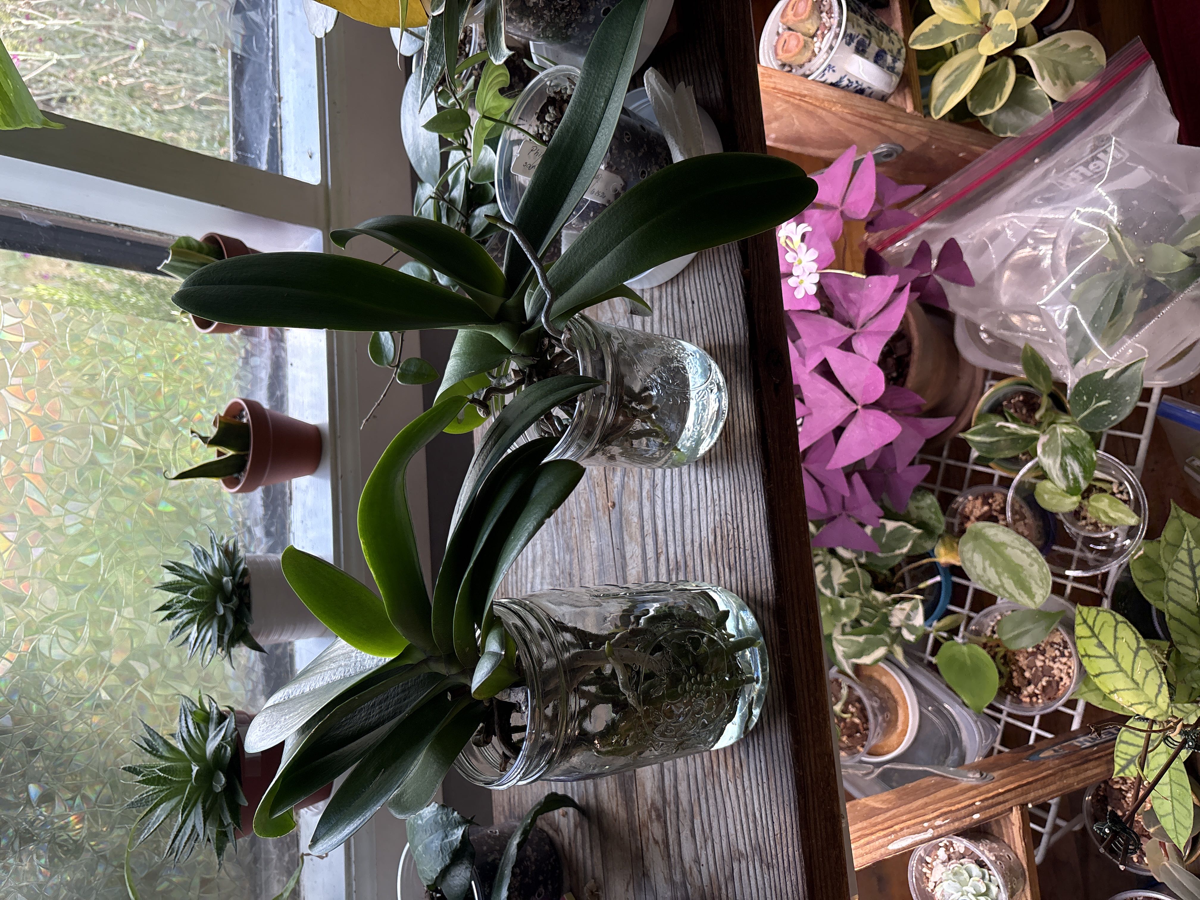 Photo from the post