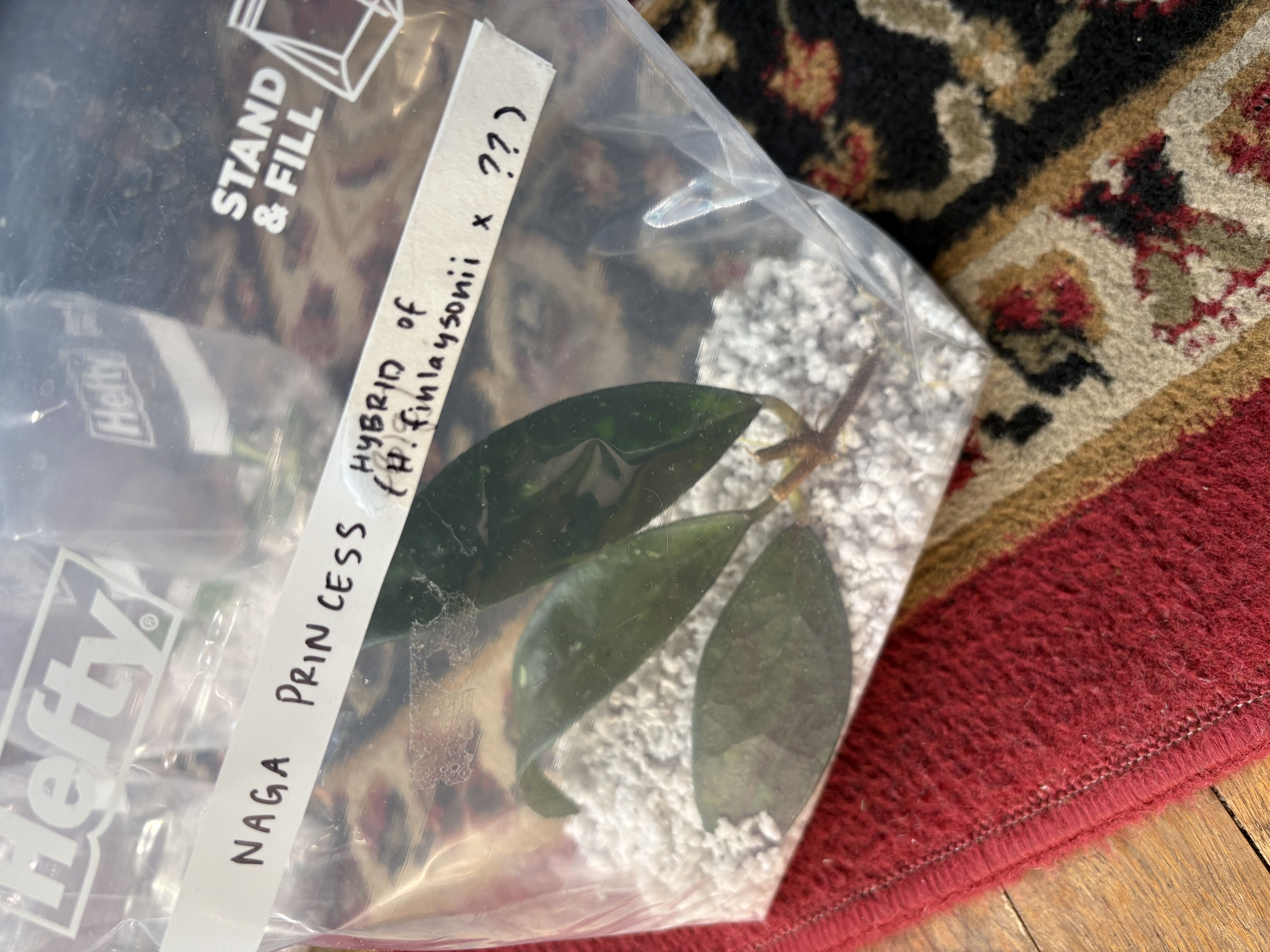 Photo from the post