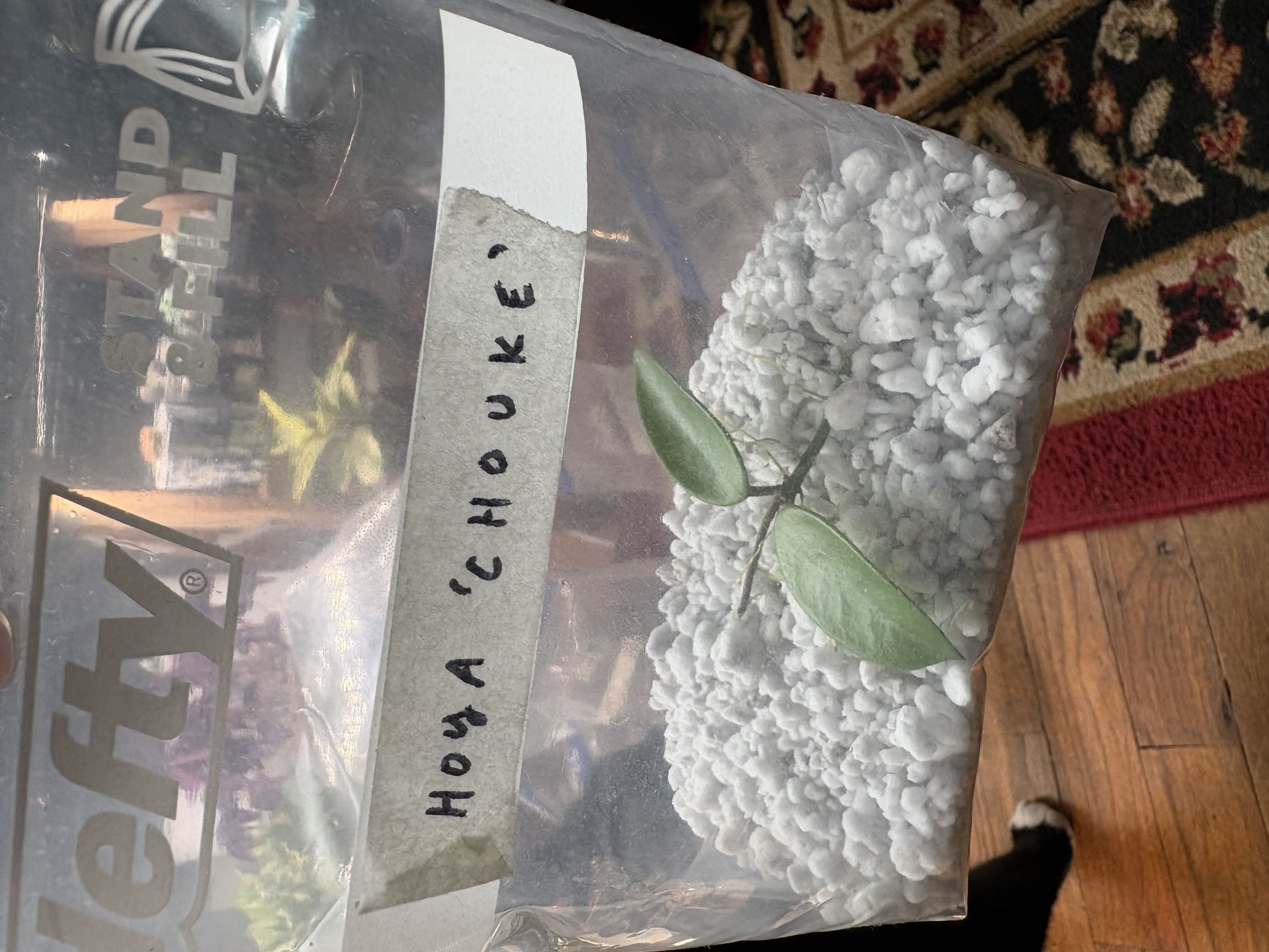 Photo from the post