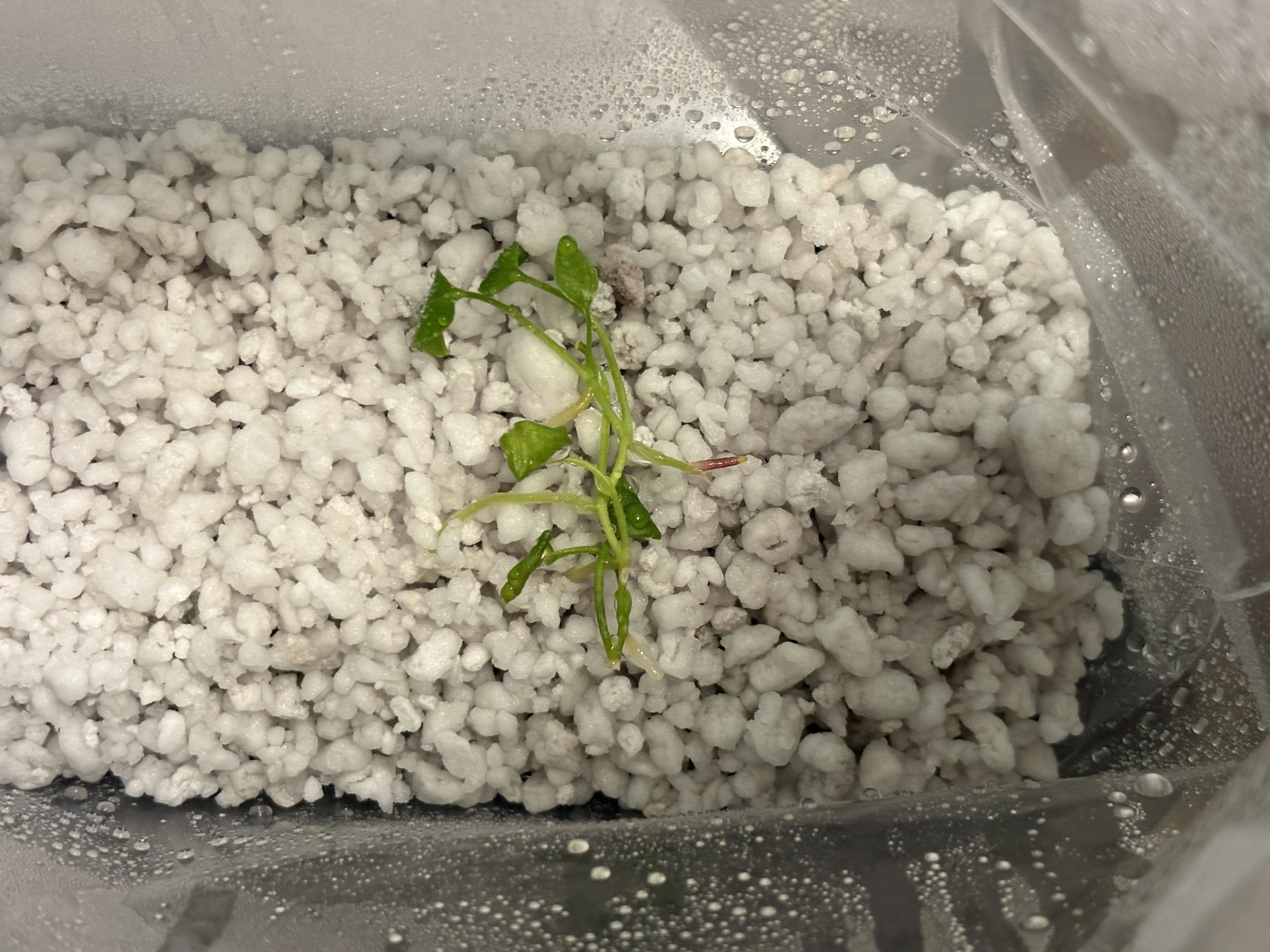 Photo from the post