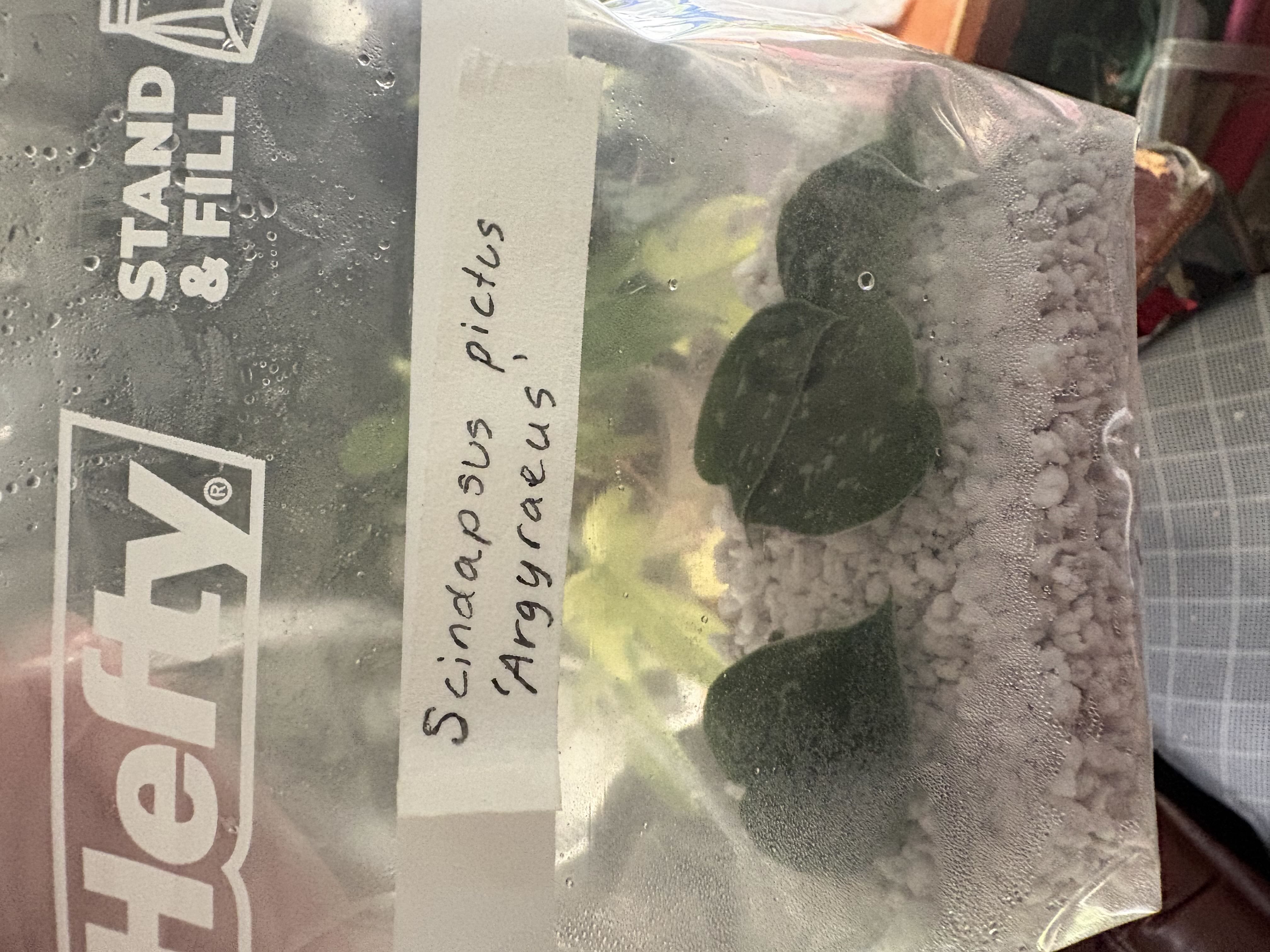 Photo from the post
