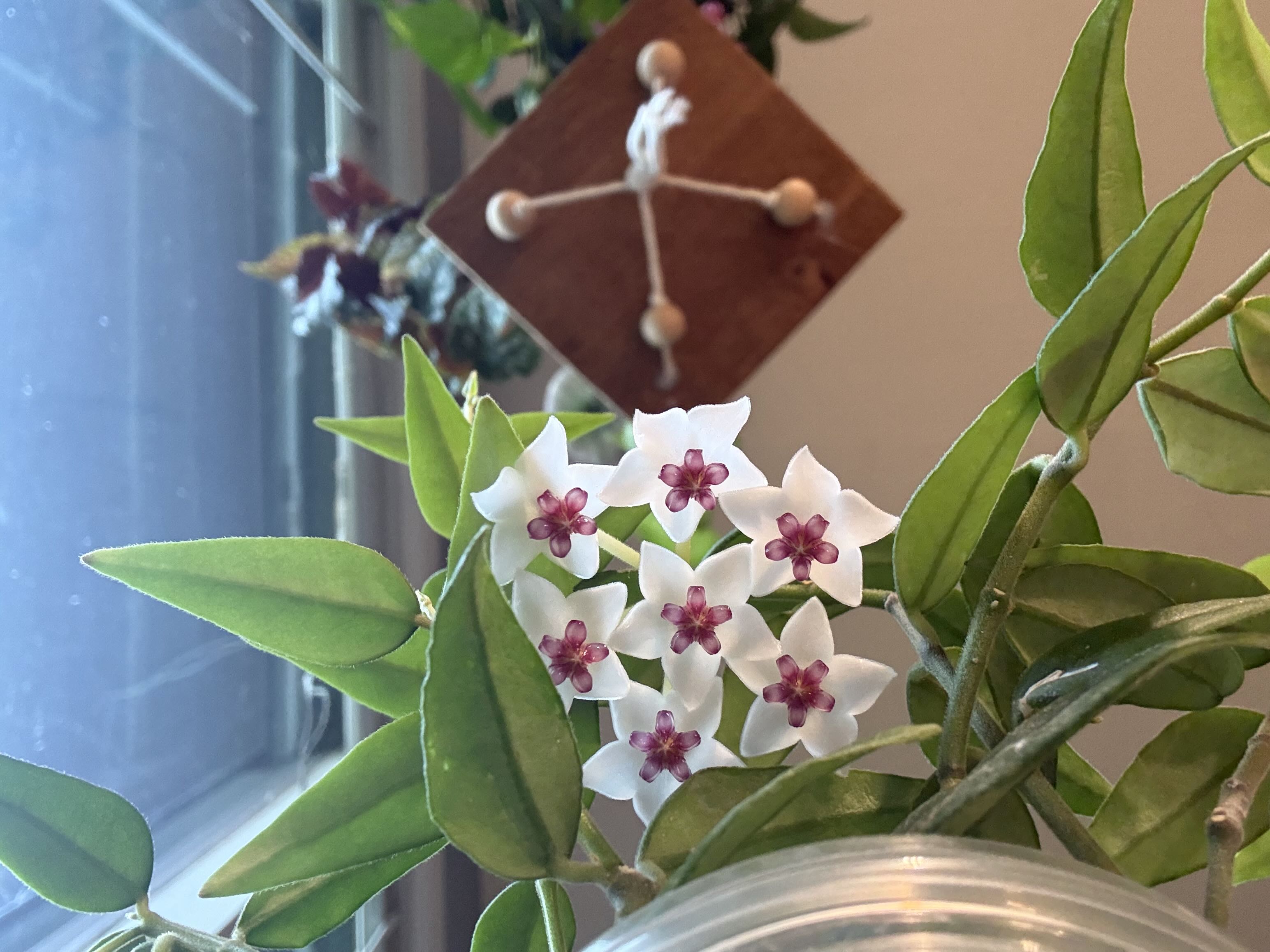 Photo from the post
