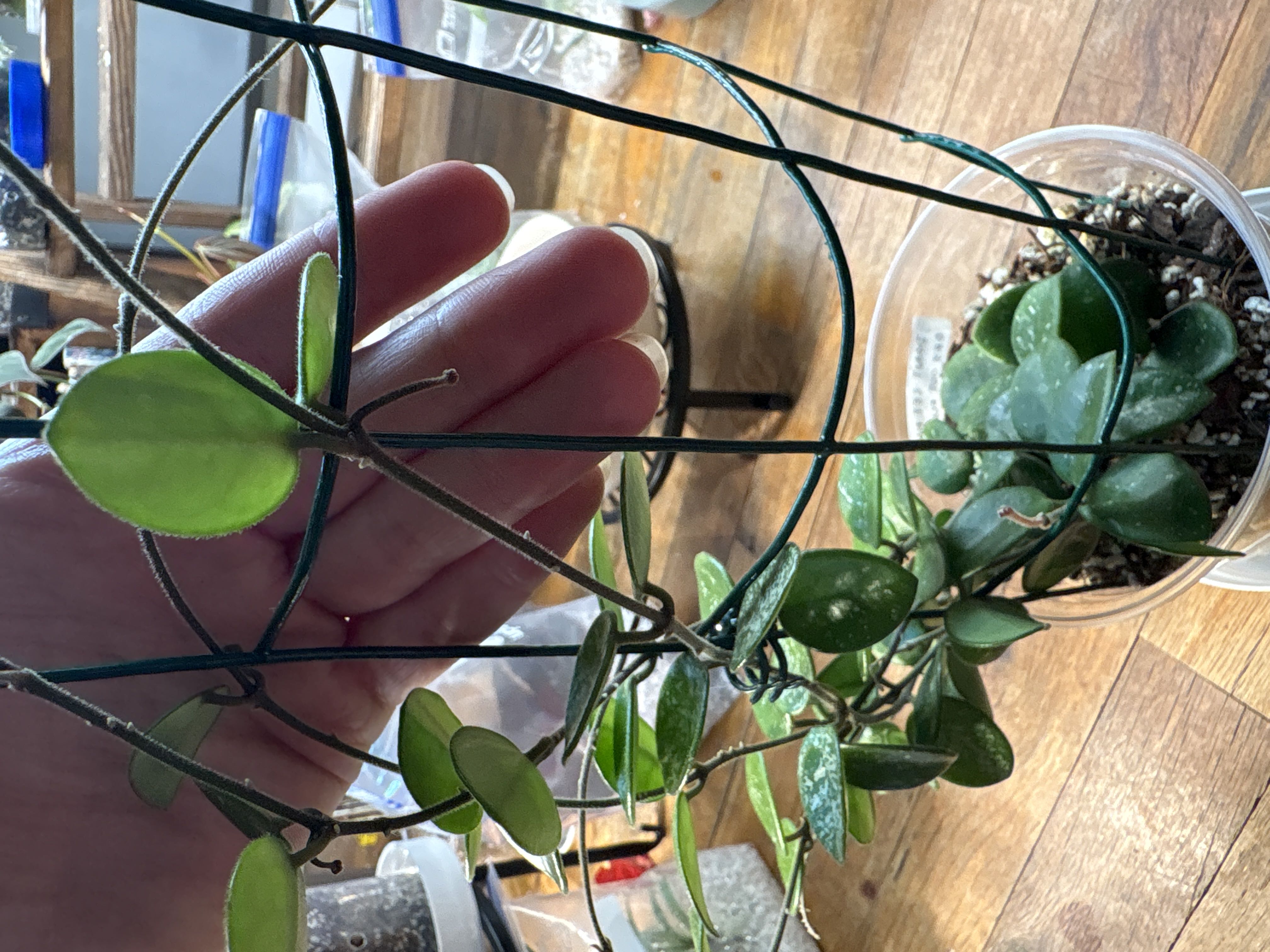 Photo from the post