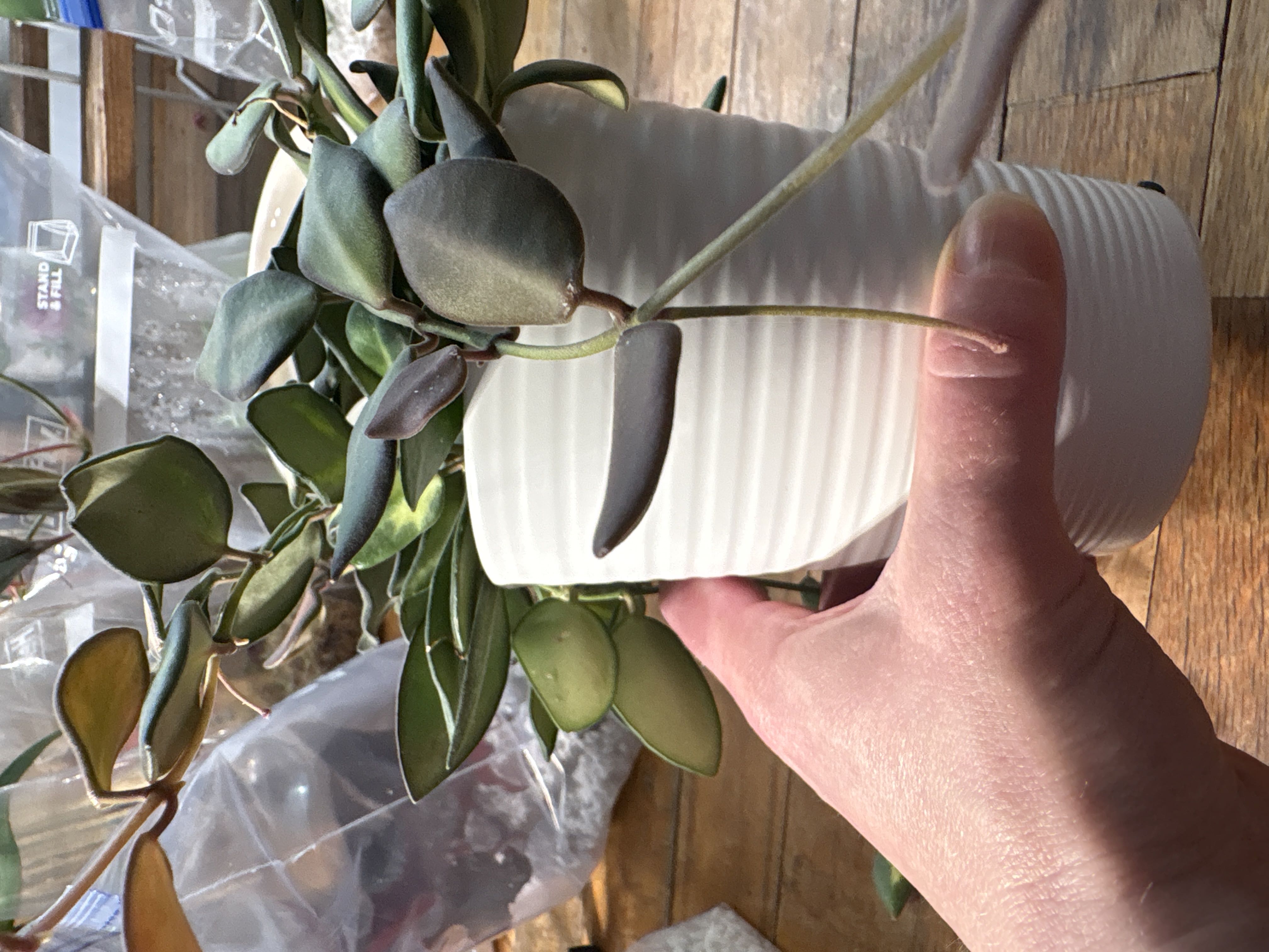 Photo from the post