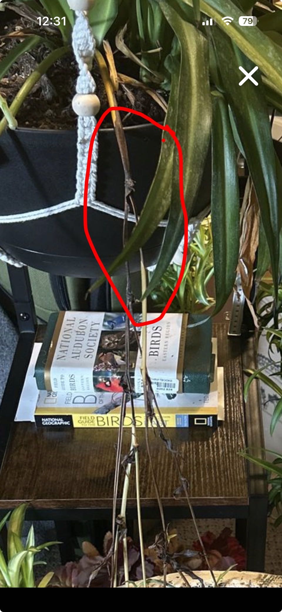 Photo from the post