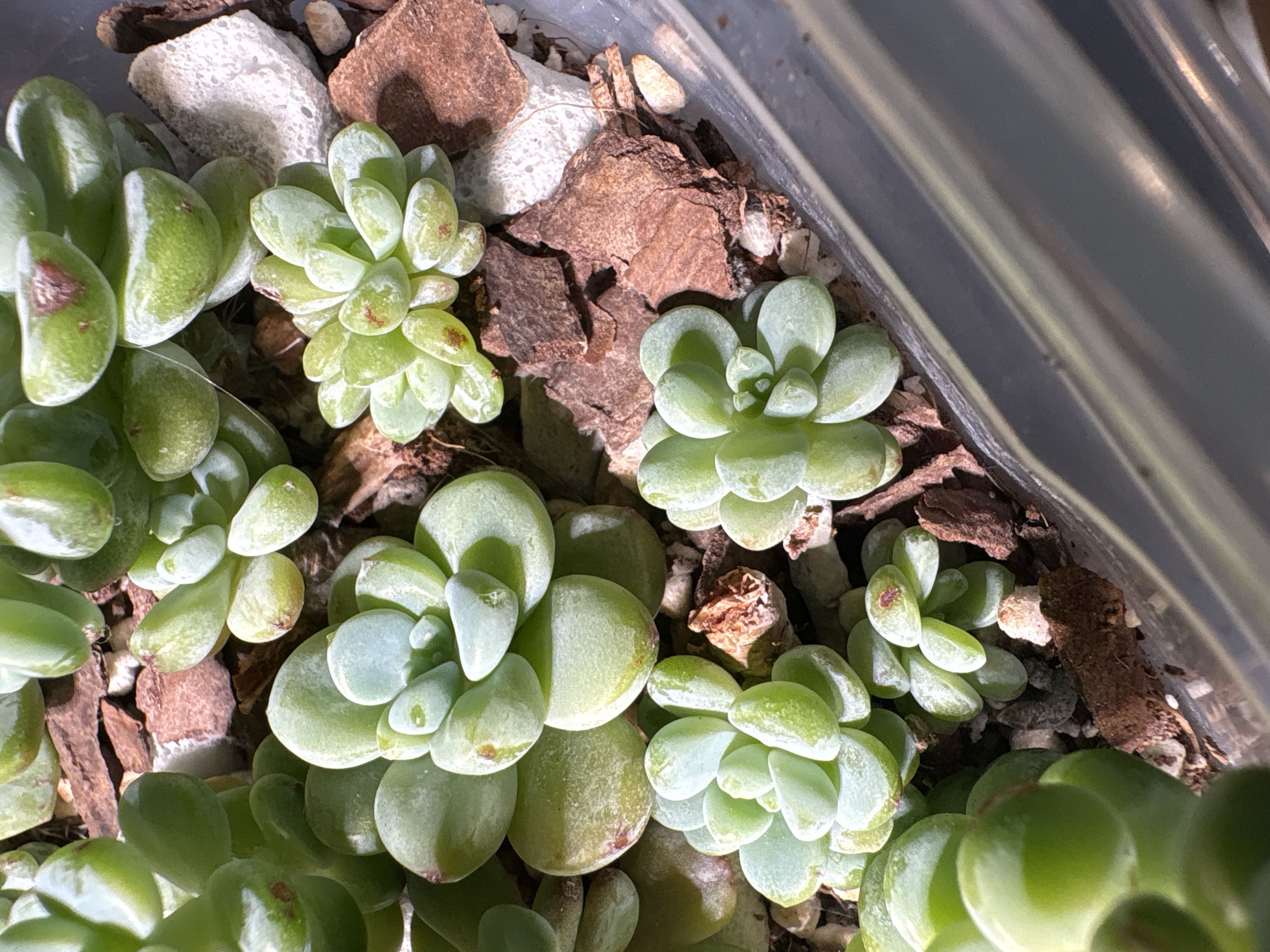 Photo from the post