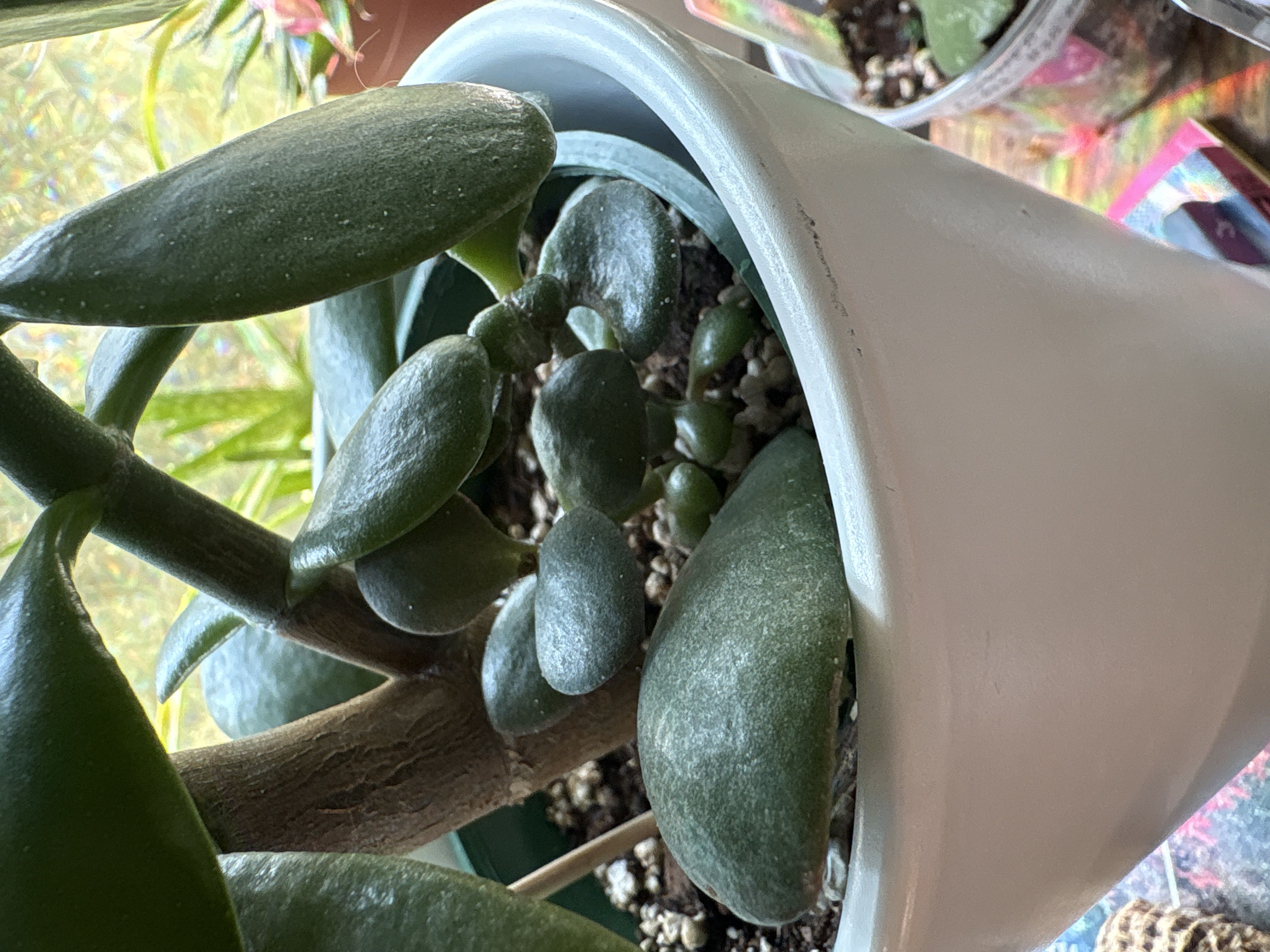 Photo from the post