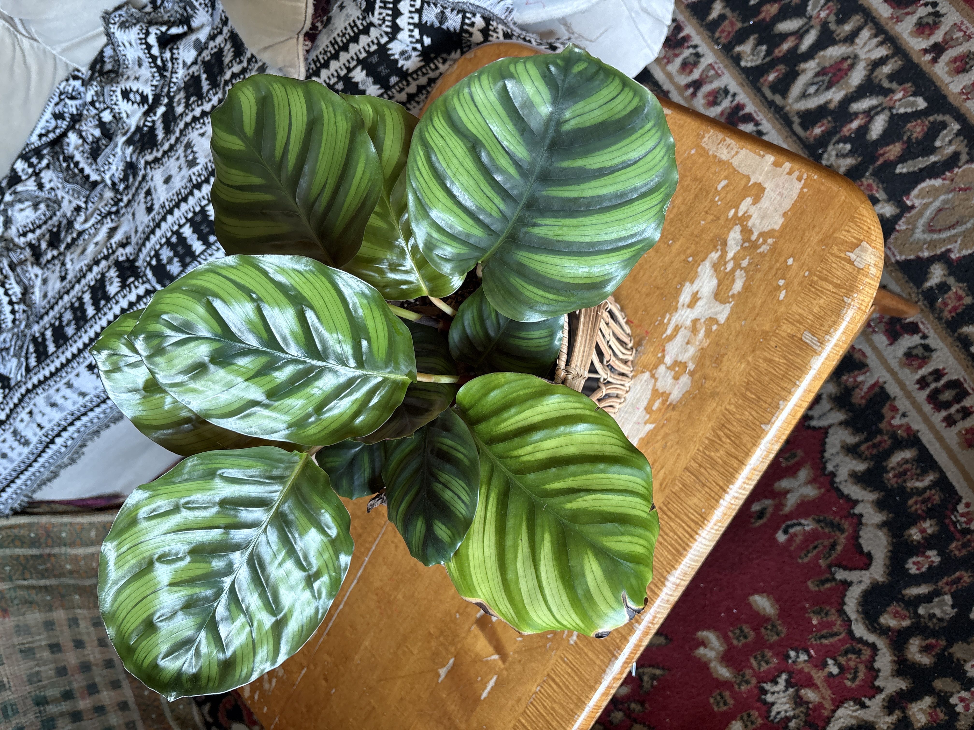 Photo from the post