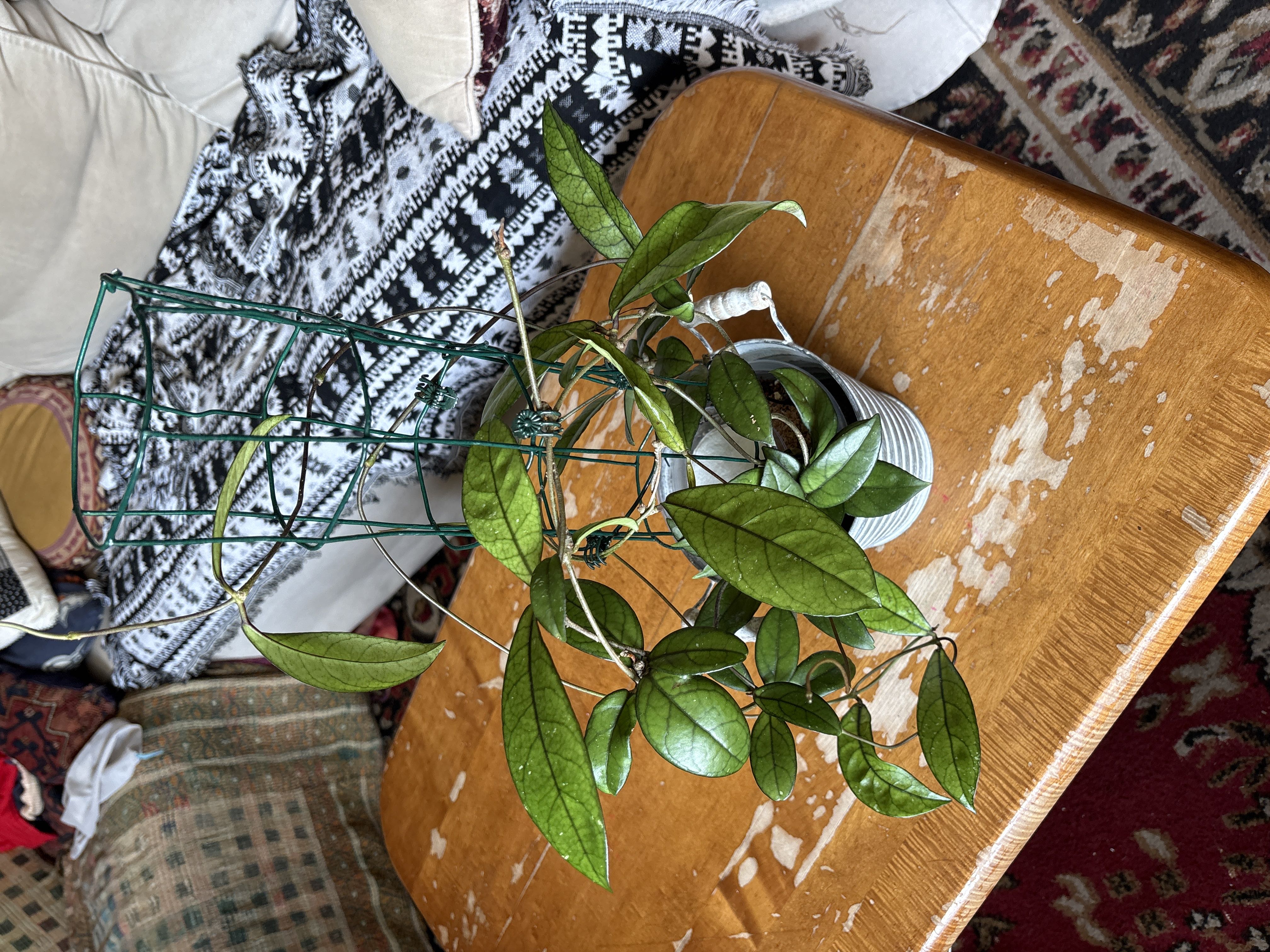 Photo from the post