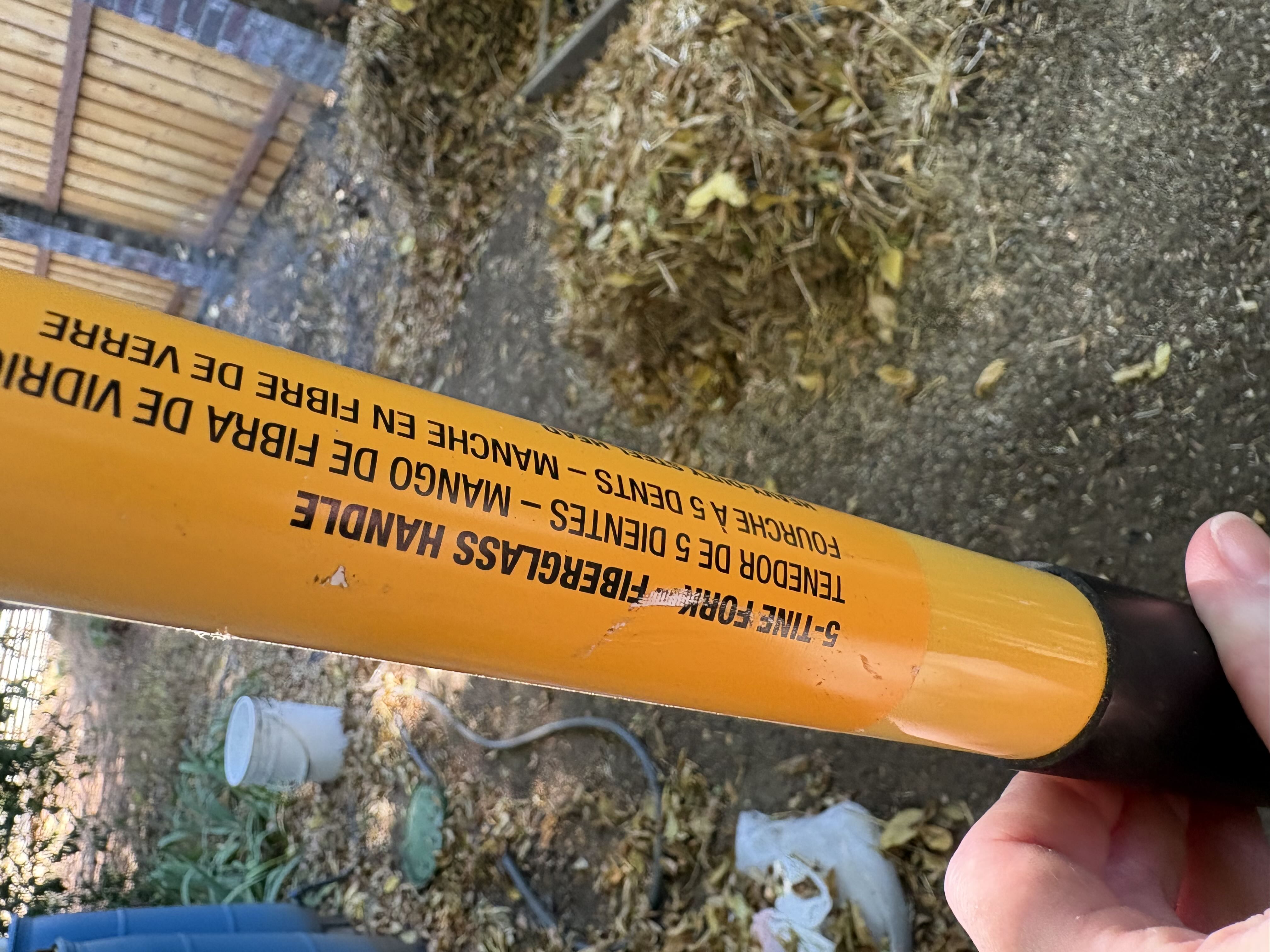 Photo from the post