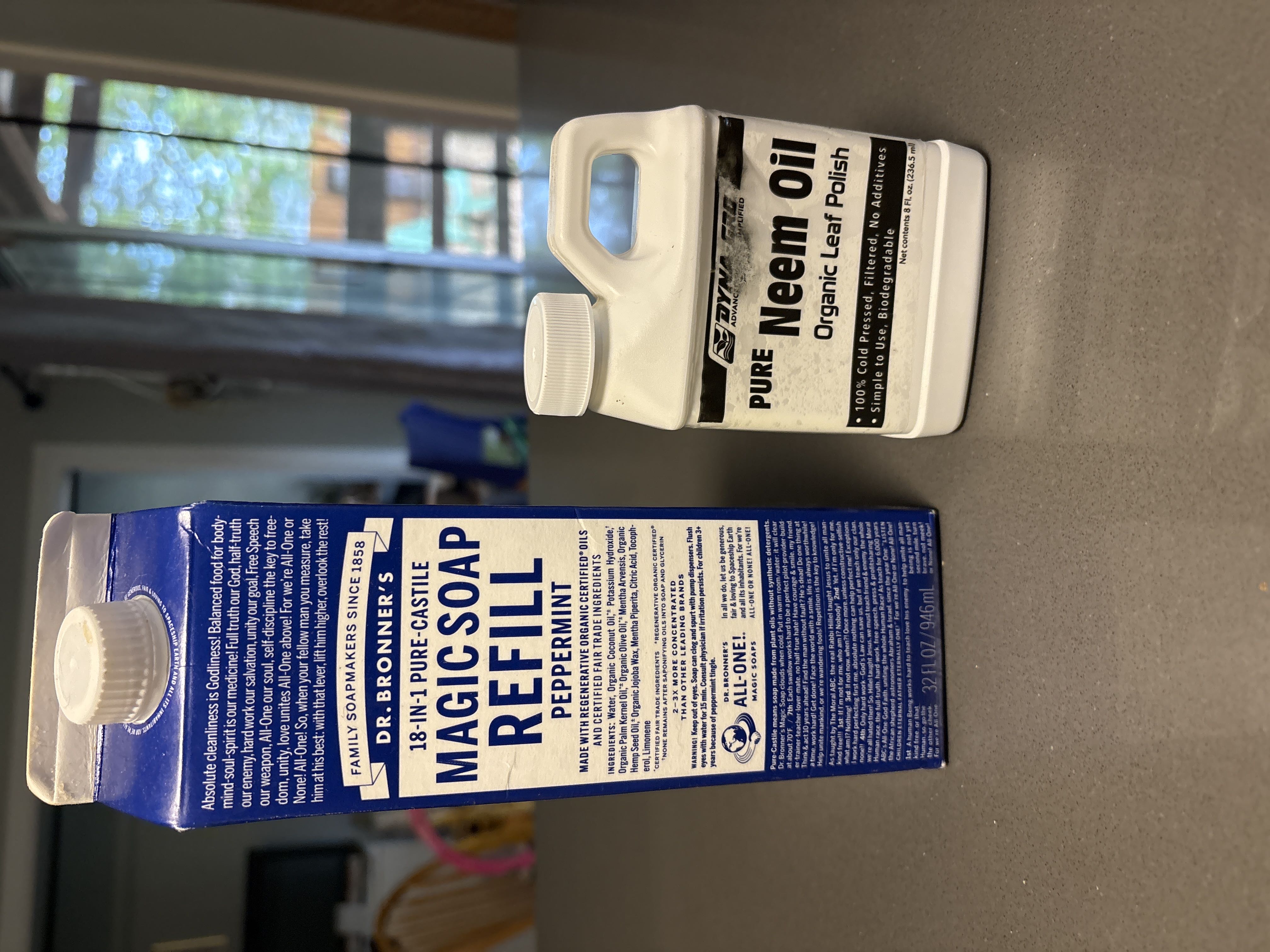 Photo from the post