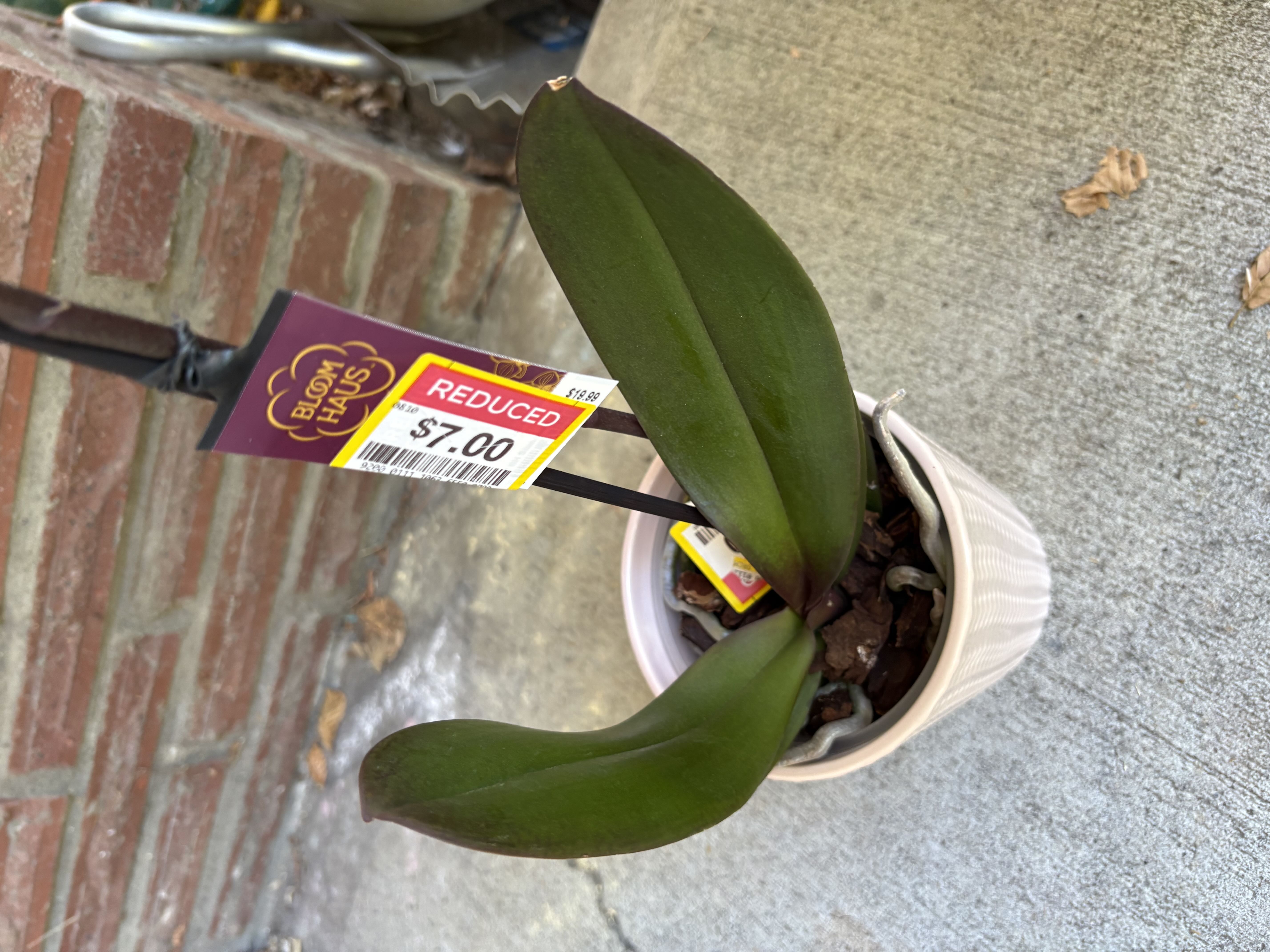 Photo from the post