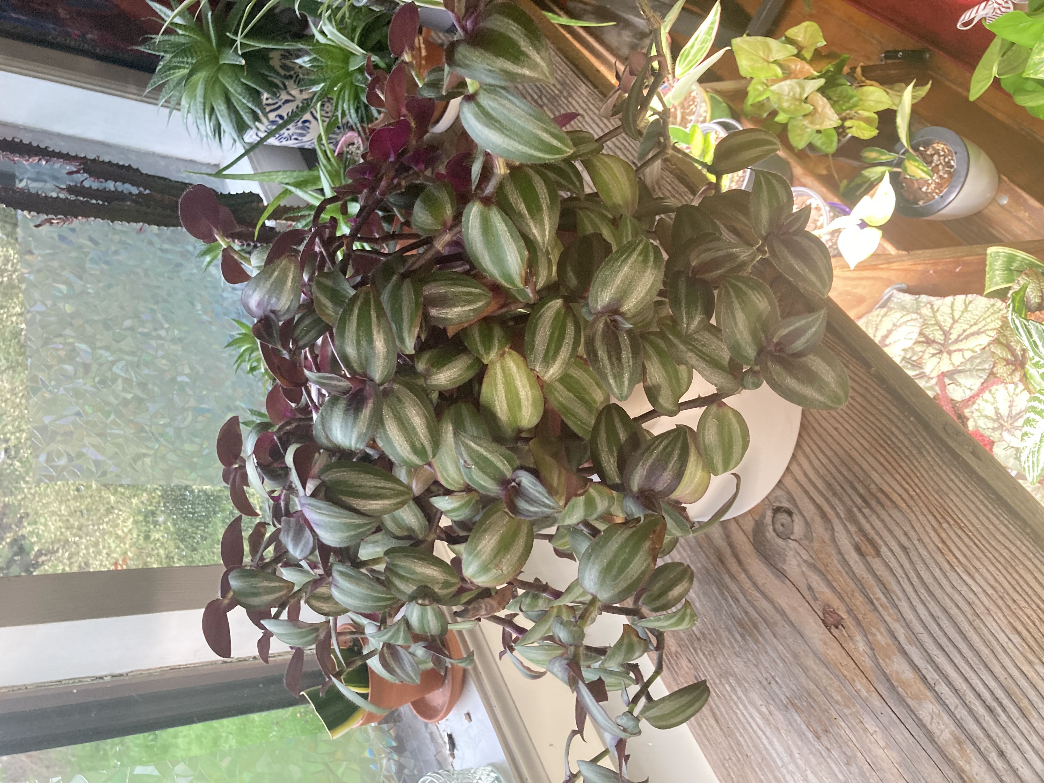 Photo from the post