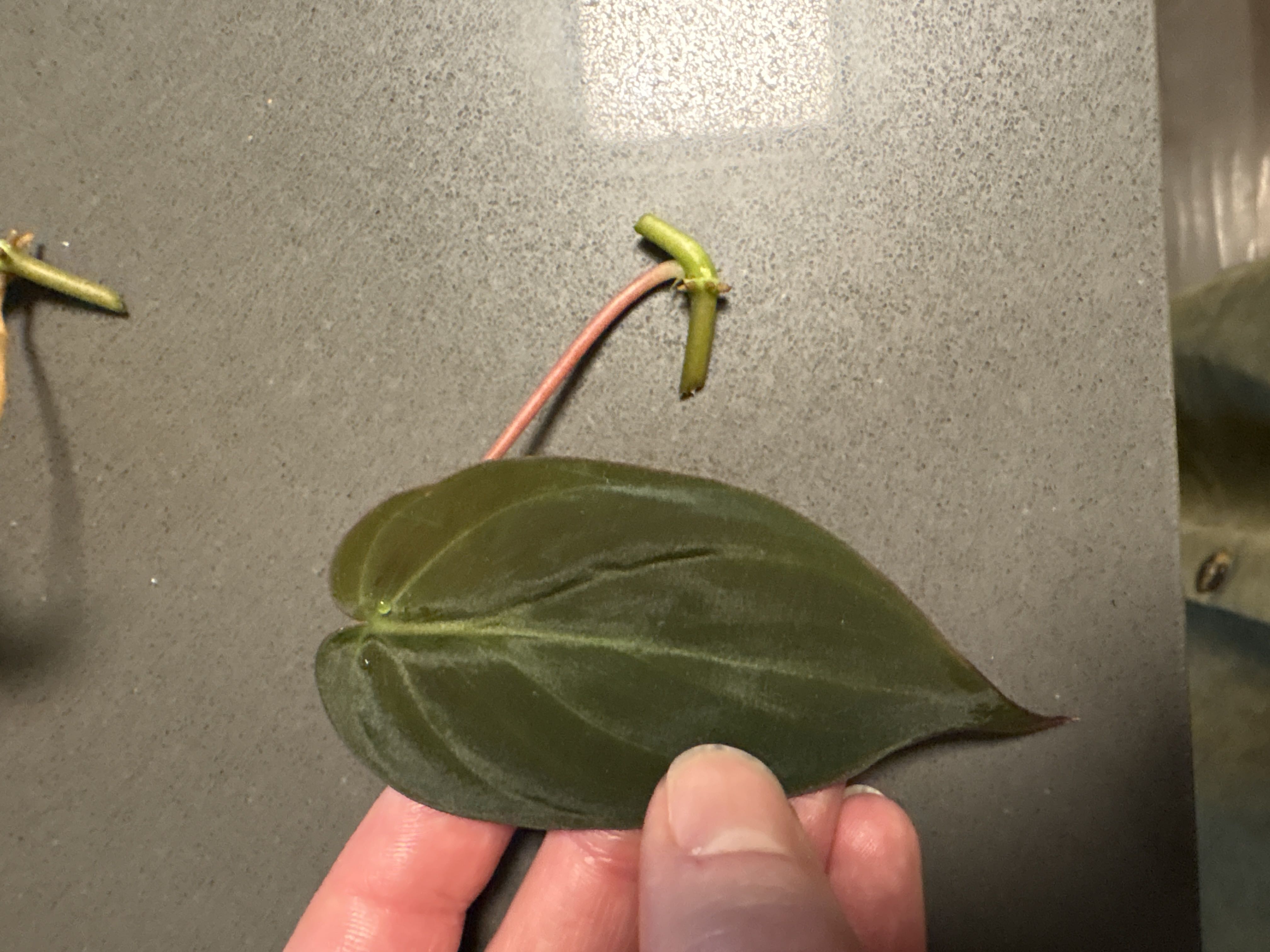 Photo from the post
