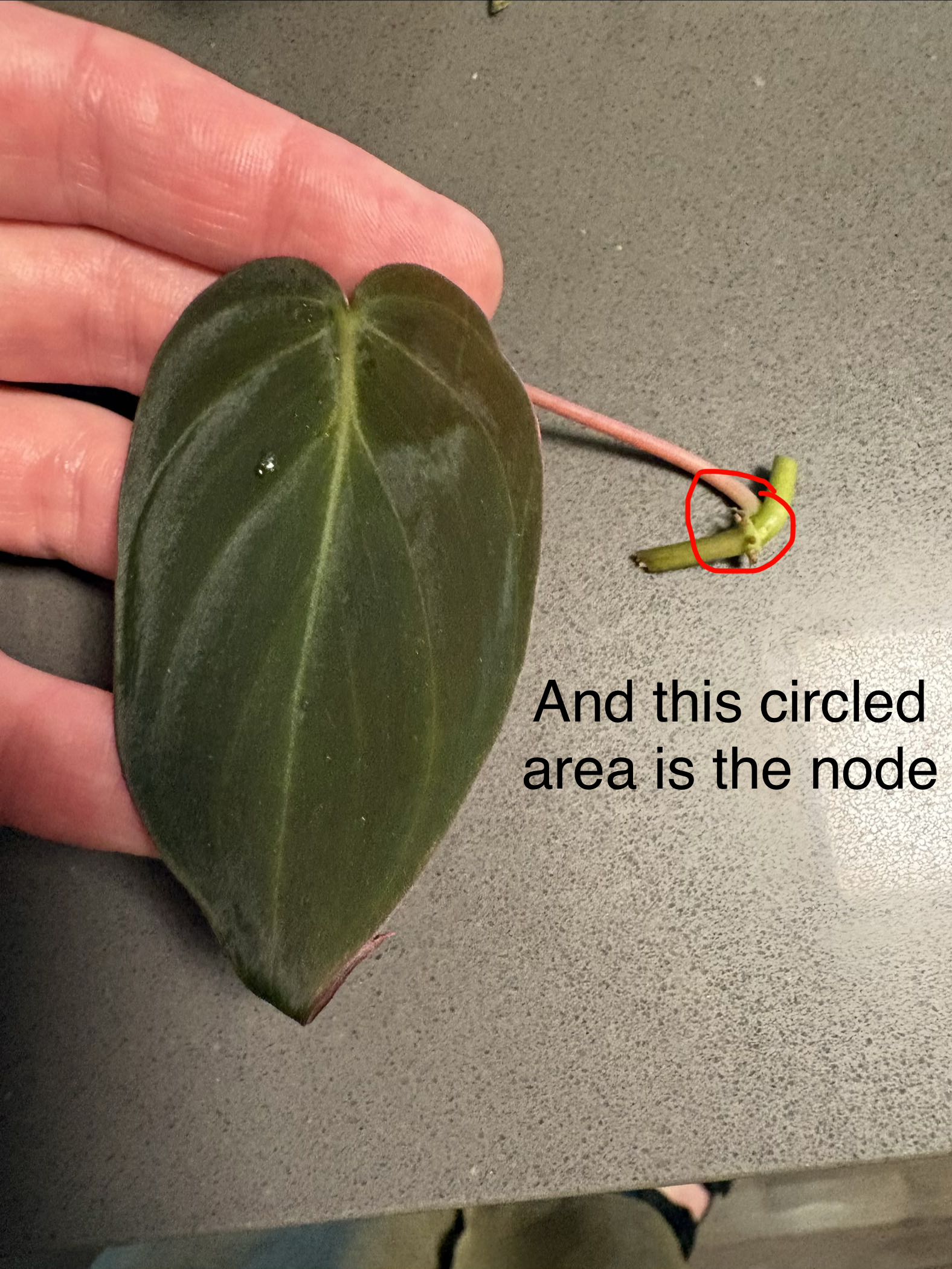 Photo from the post