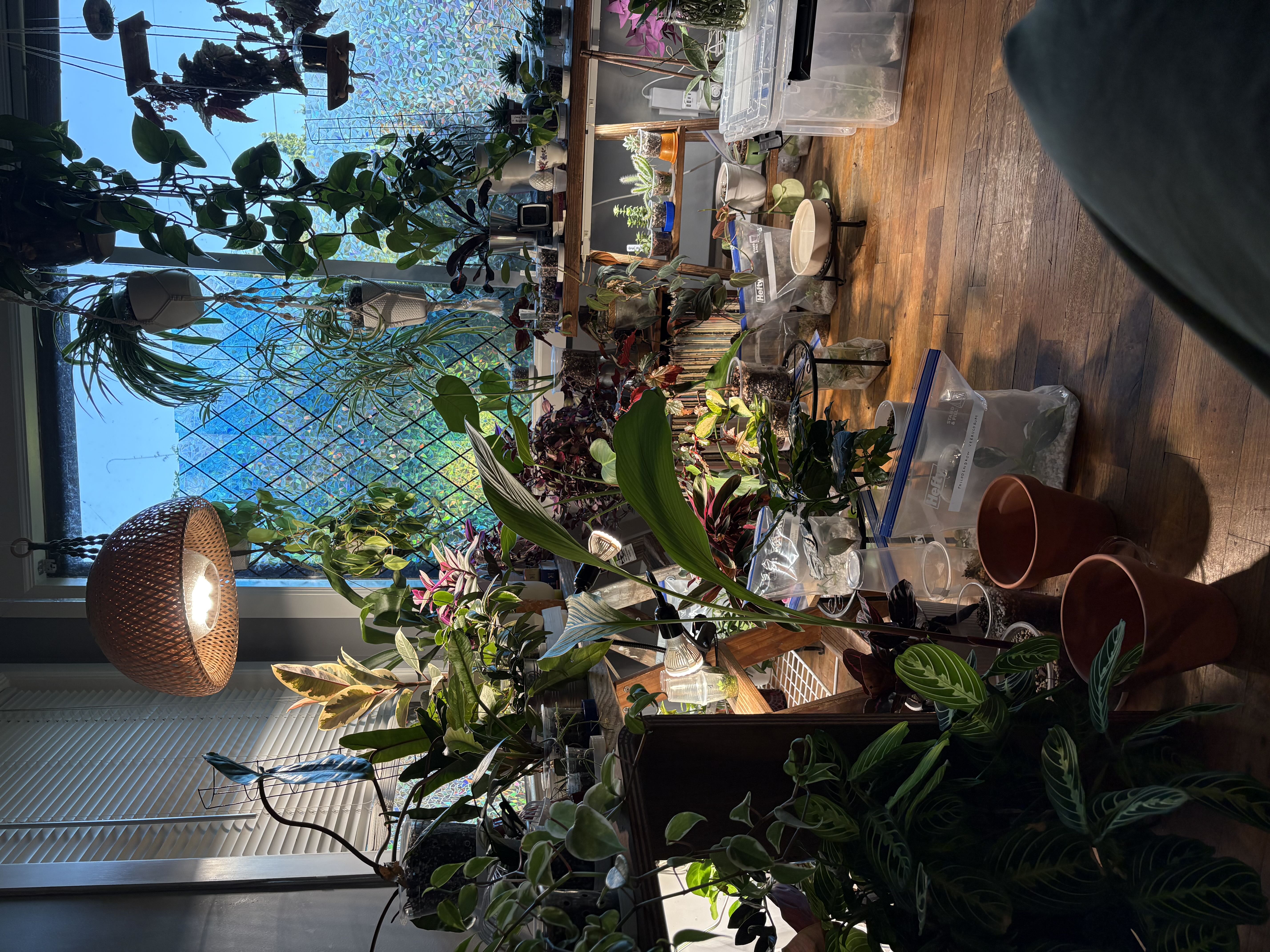 Photo from the post