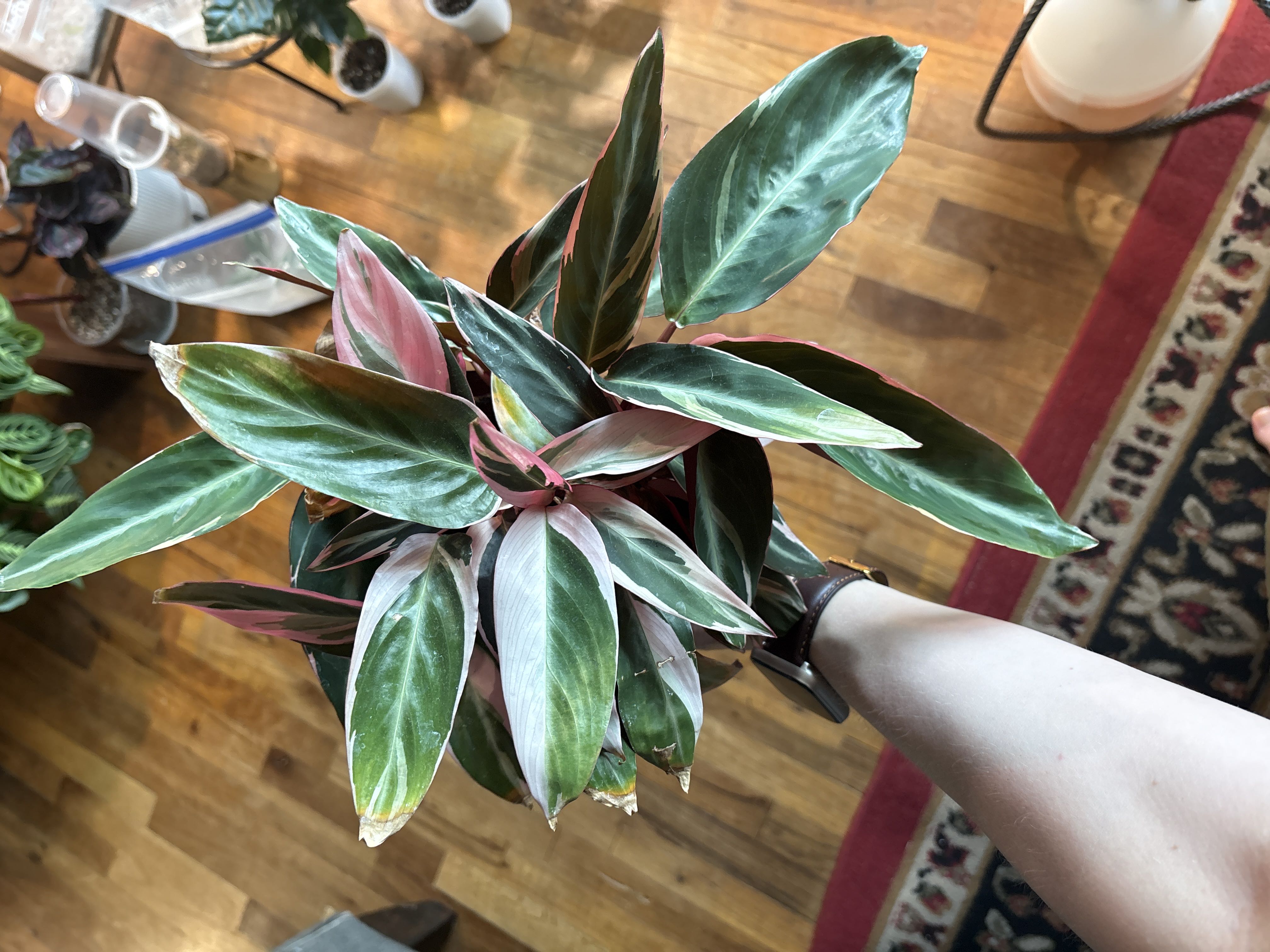 Photo from the post