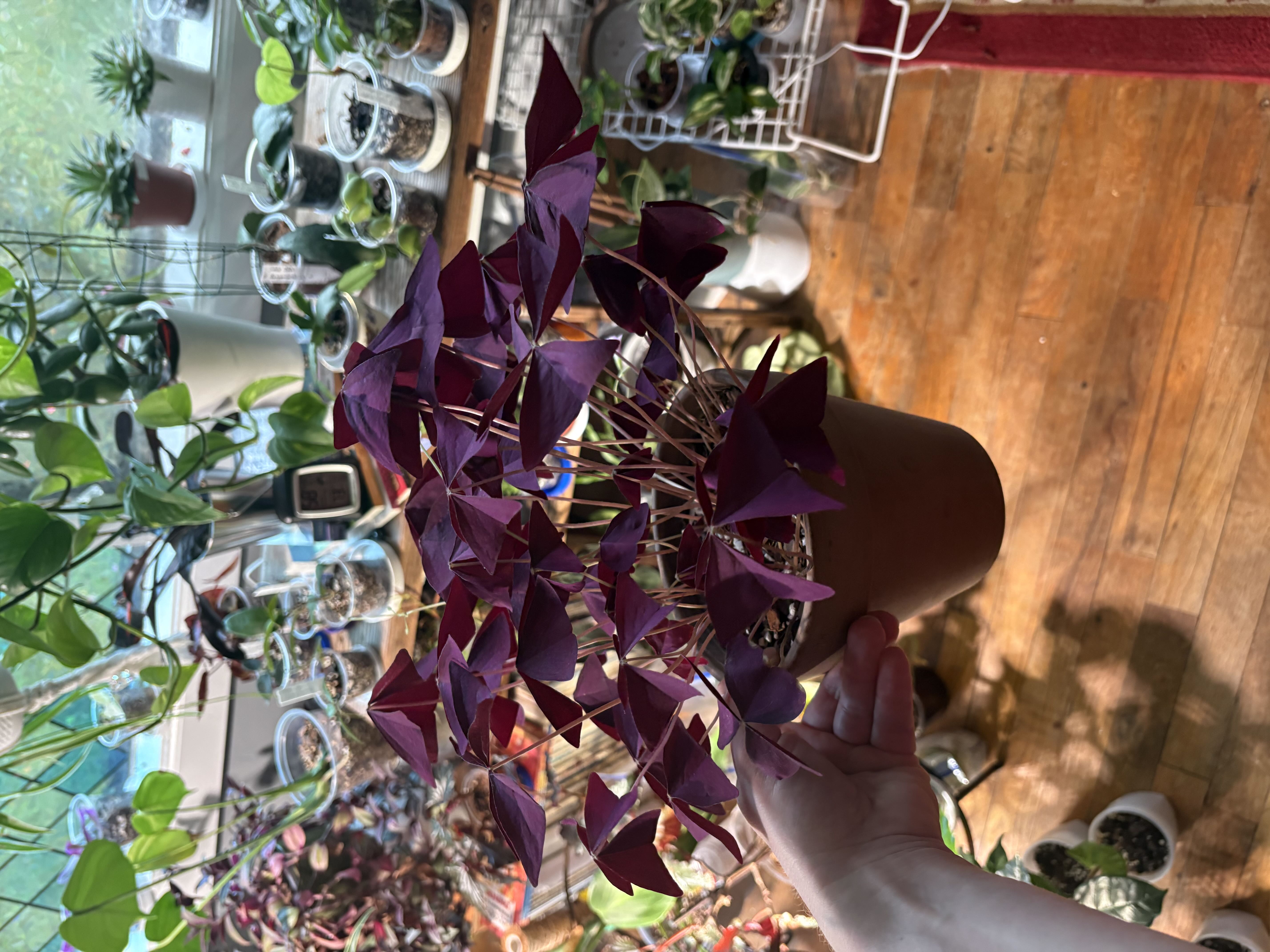 Photo from the post