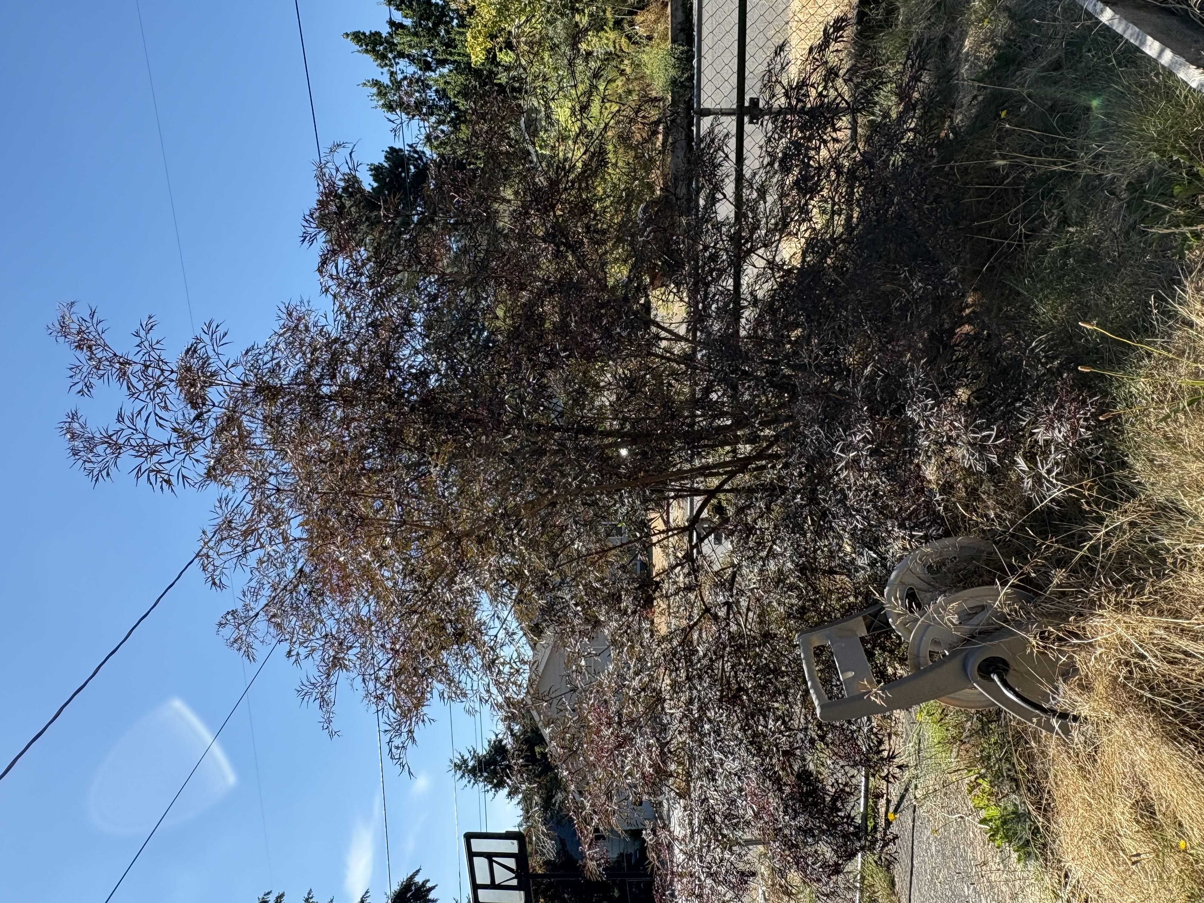 Photo from the post