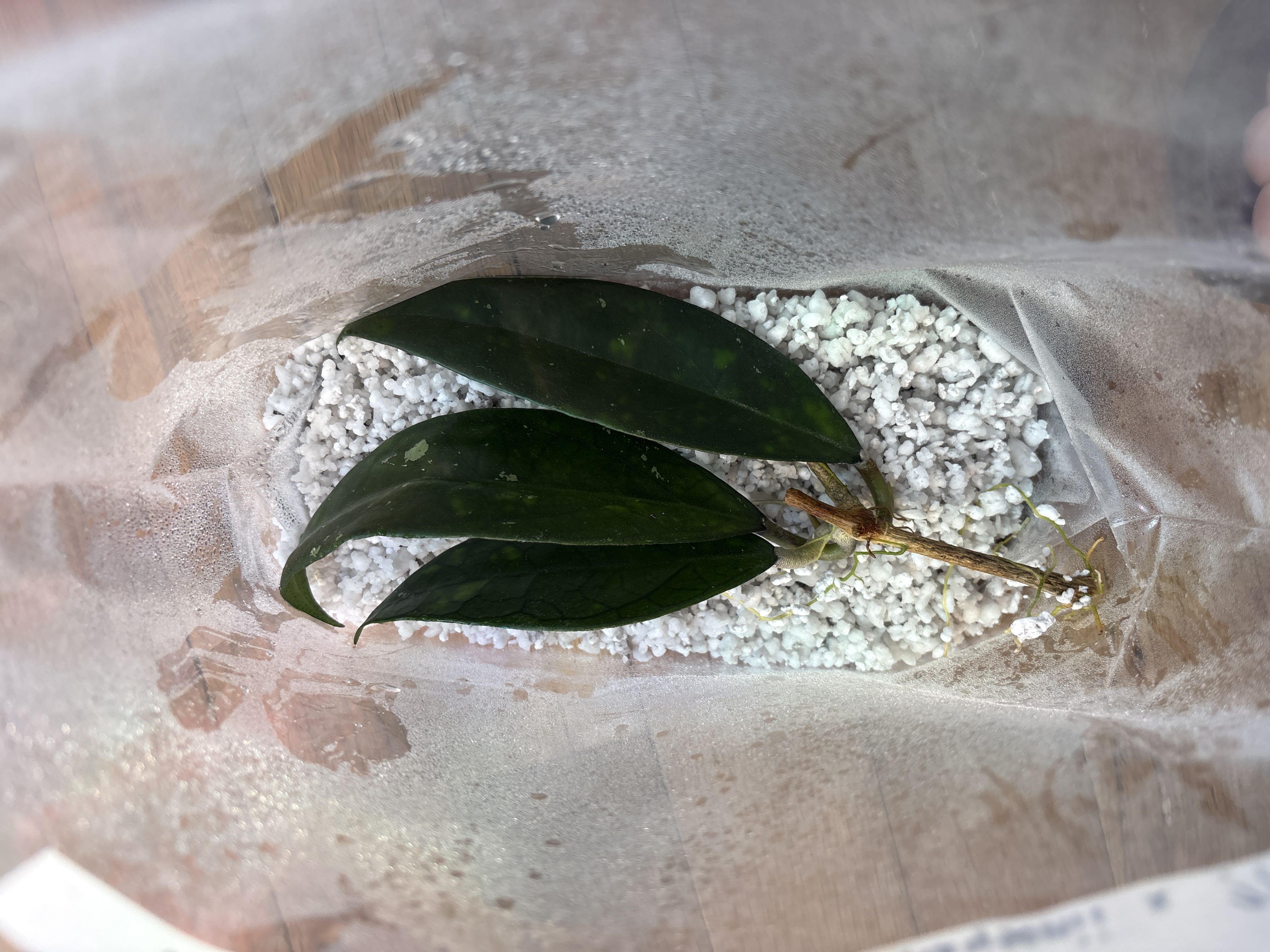 Photo from the post