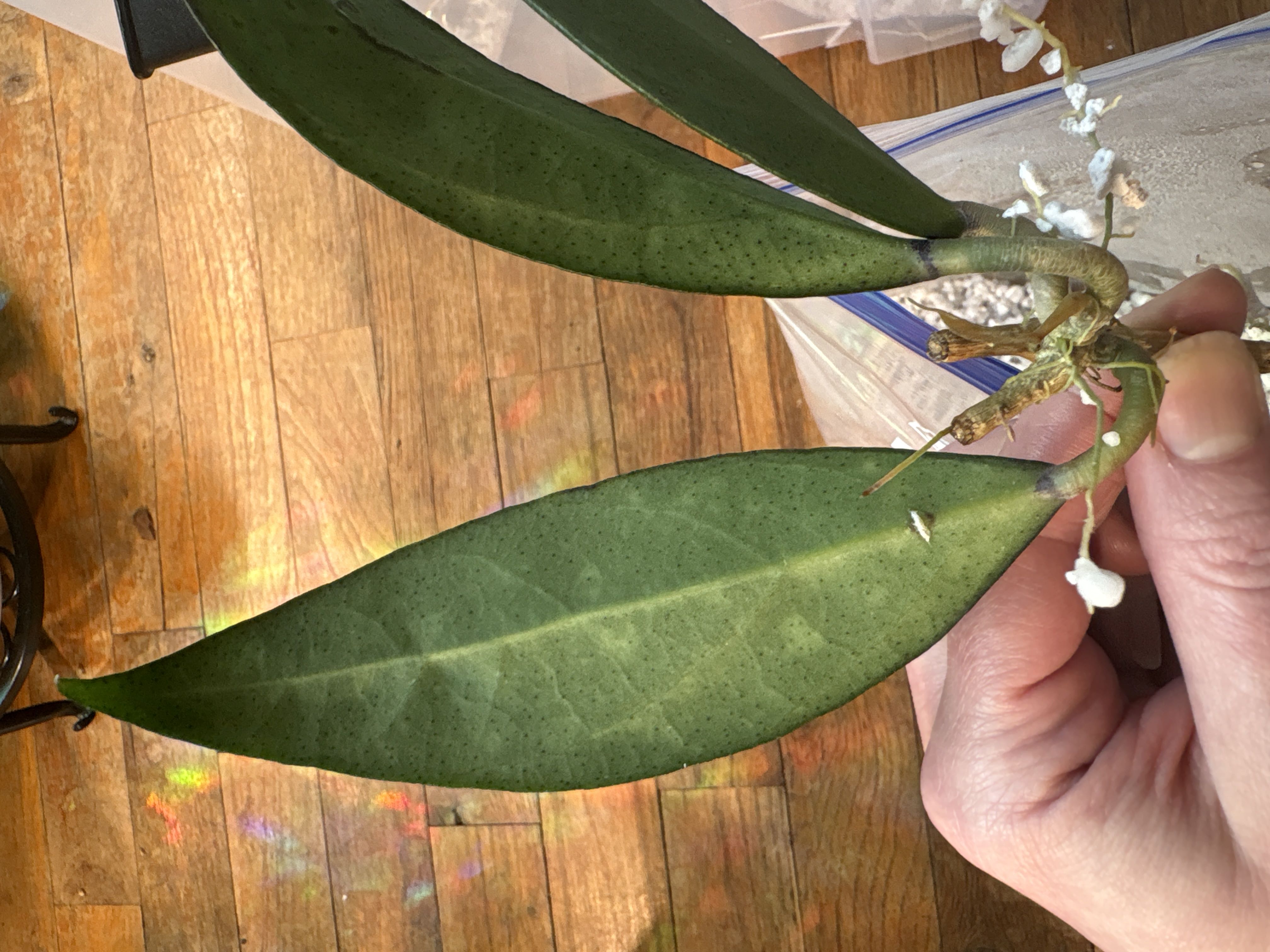 Photo from the post