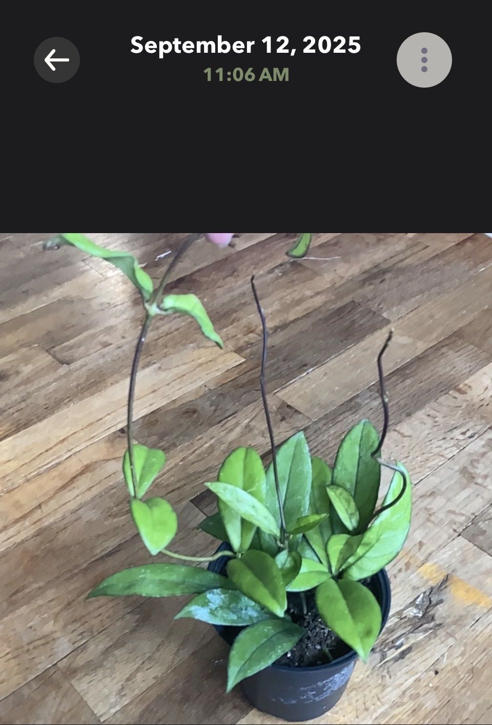 Photo from the post