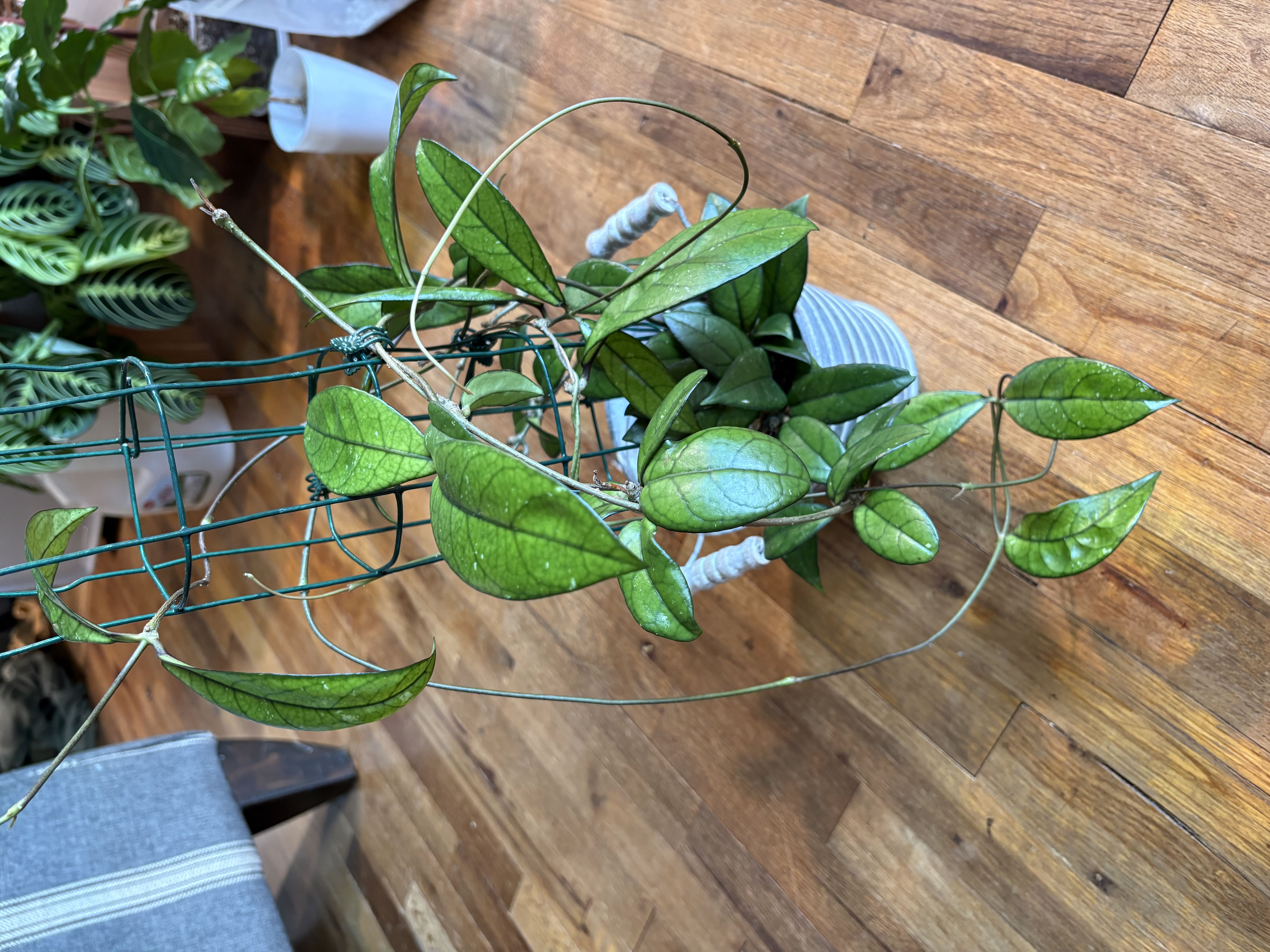 Photo from the post