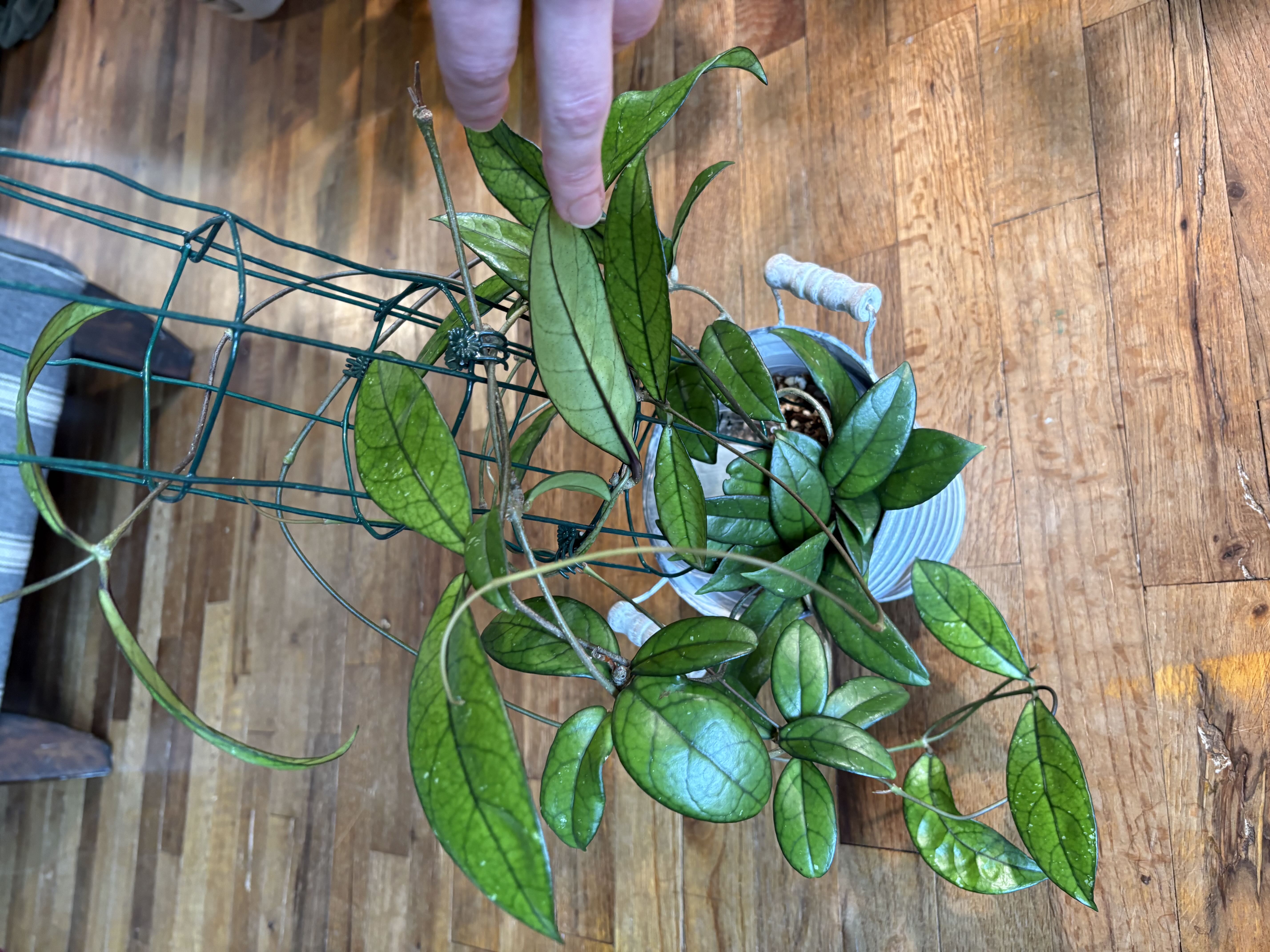 Photo from the post