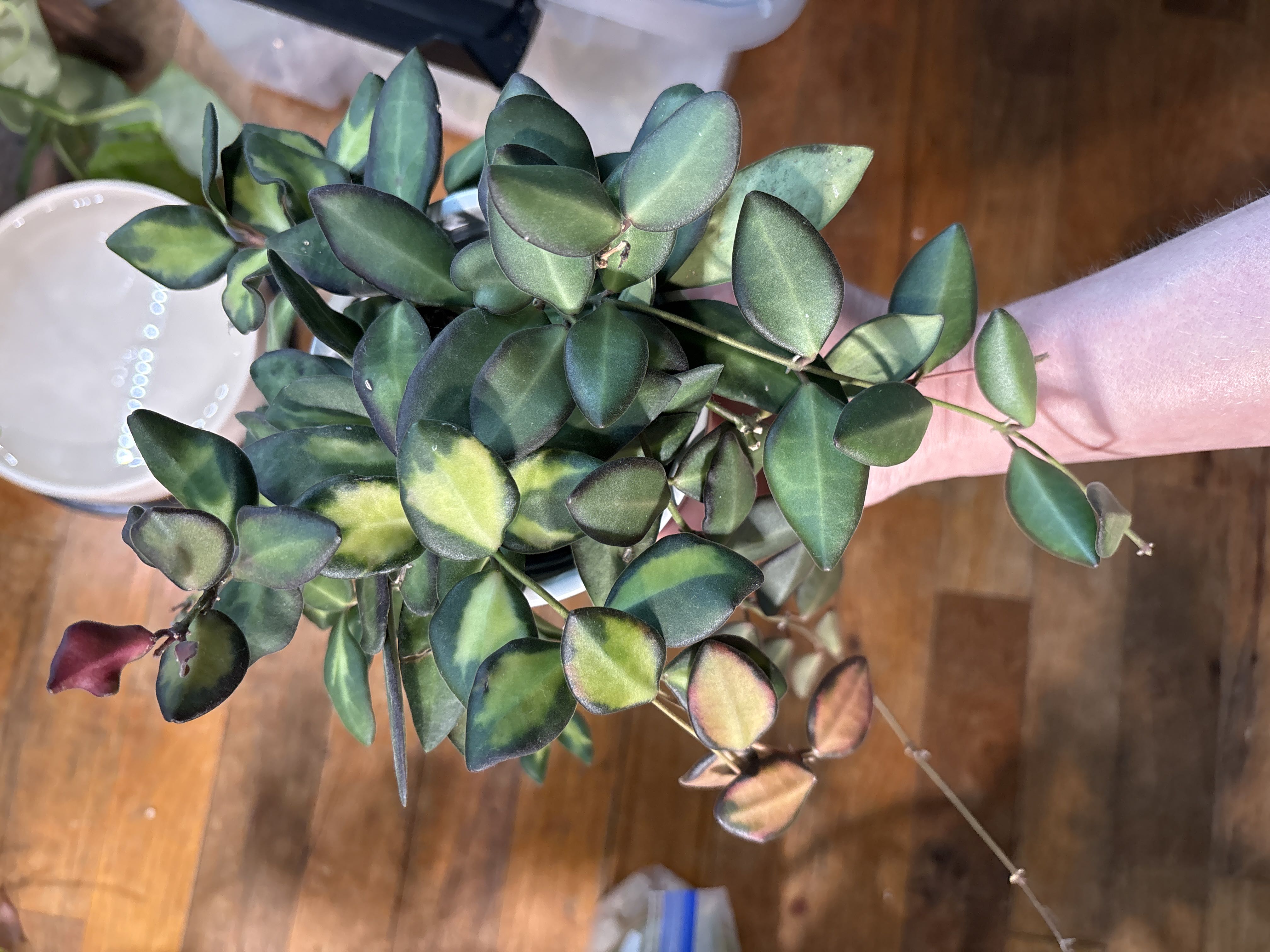 Photo from the post