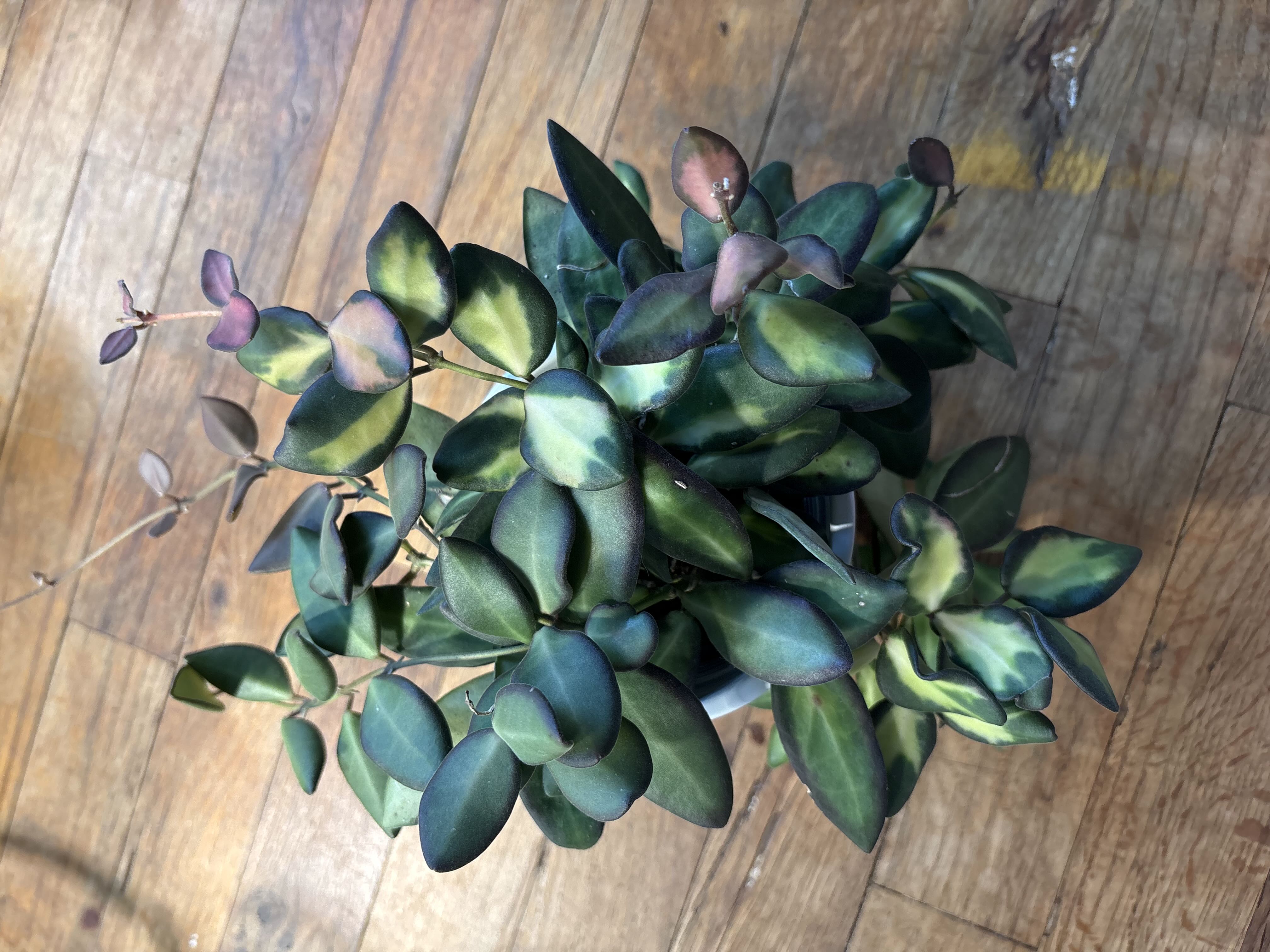 Photo from the post