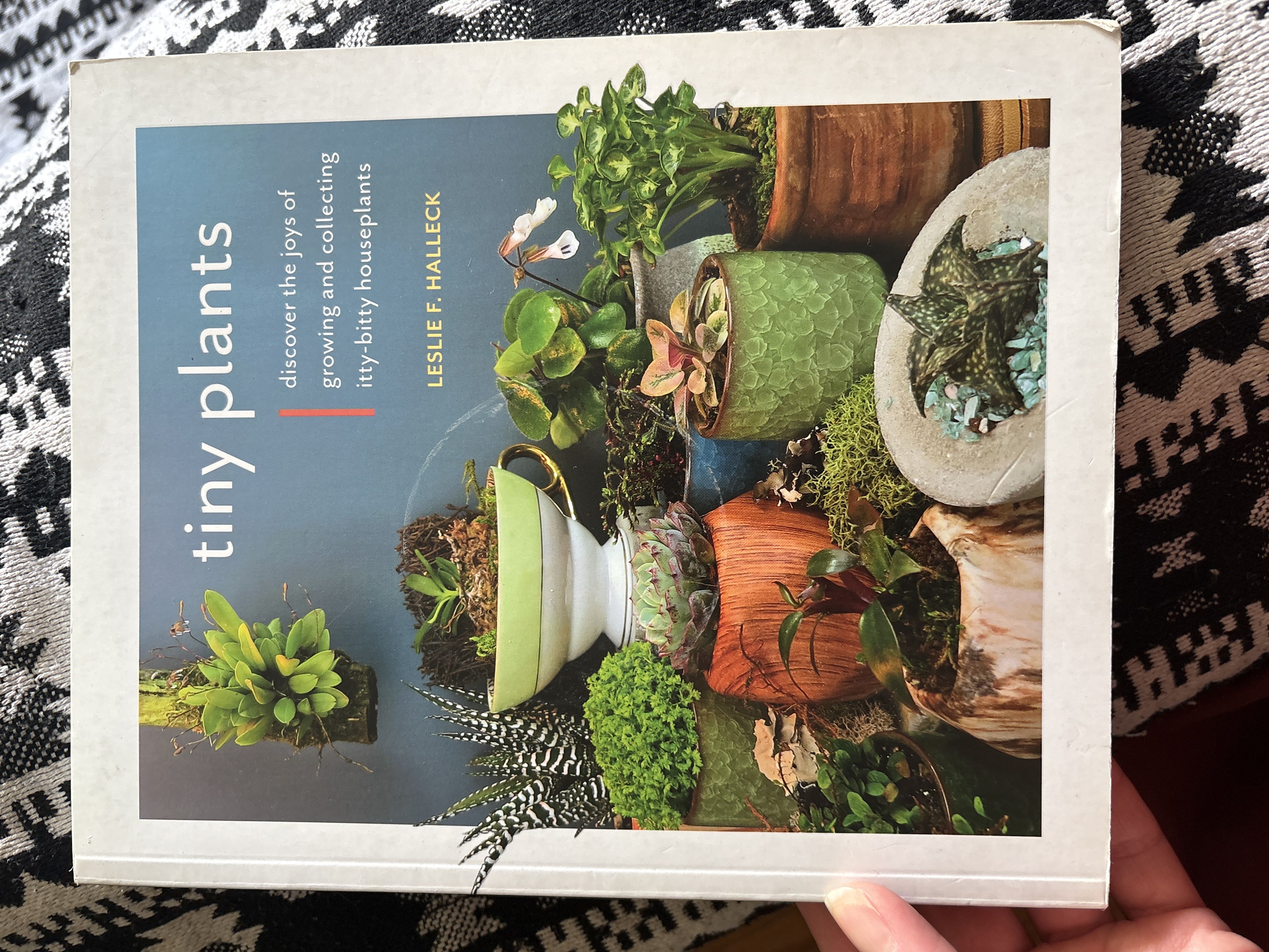 Photo from the post