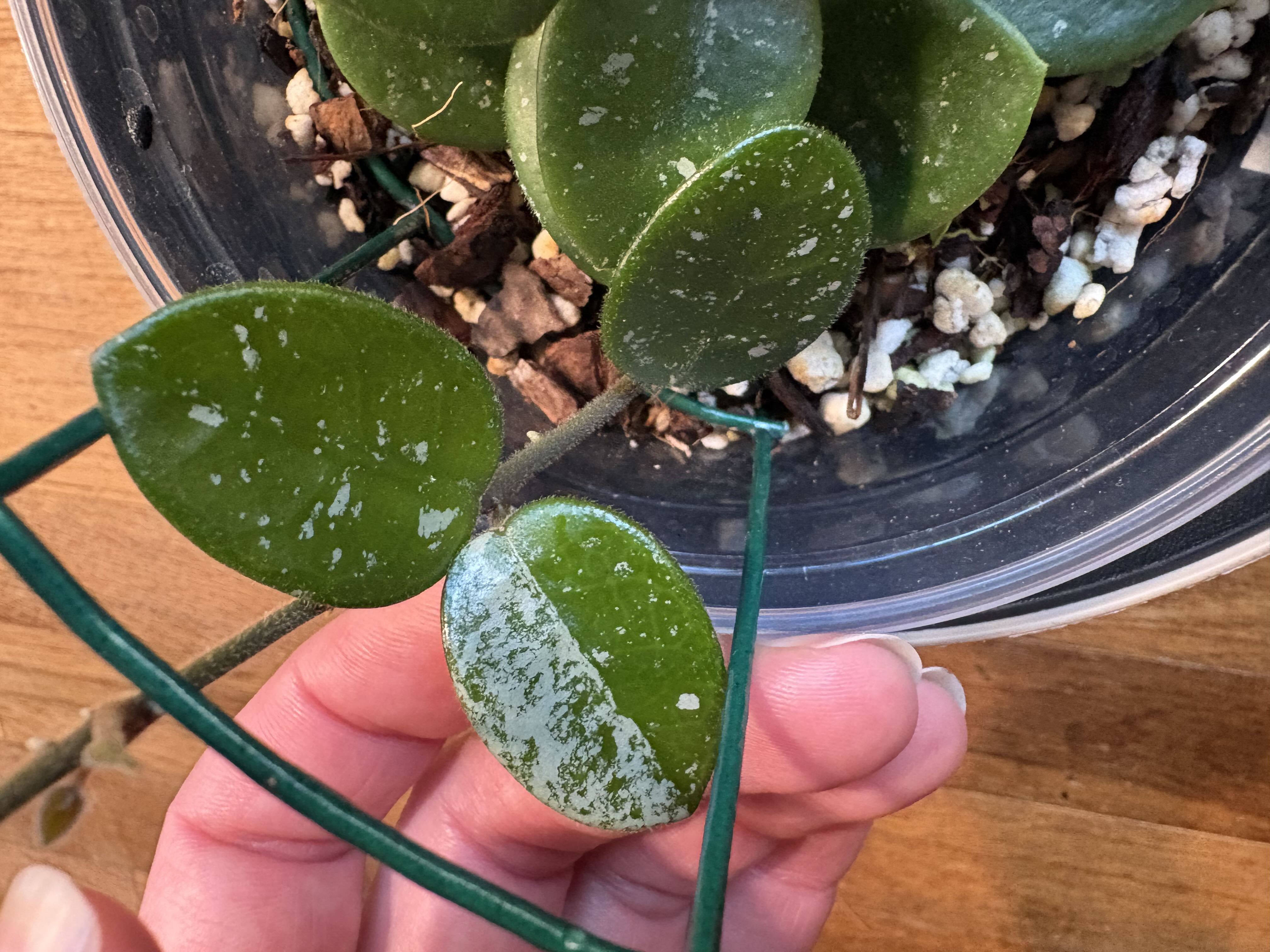 Photo from the post