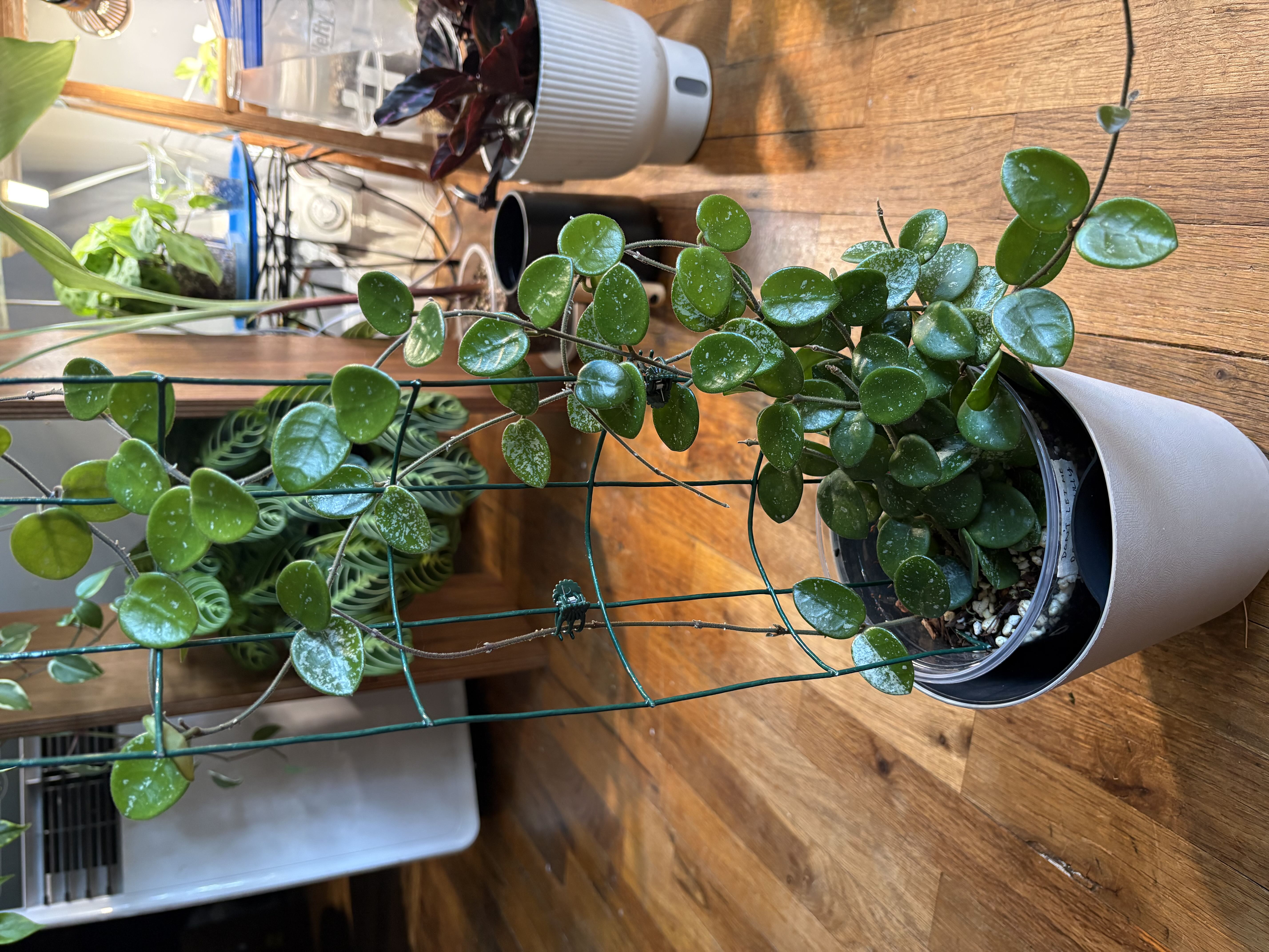 Photo from the post