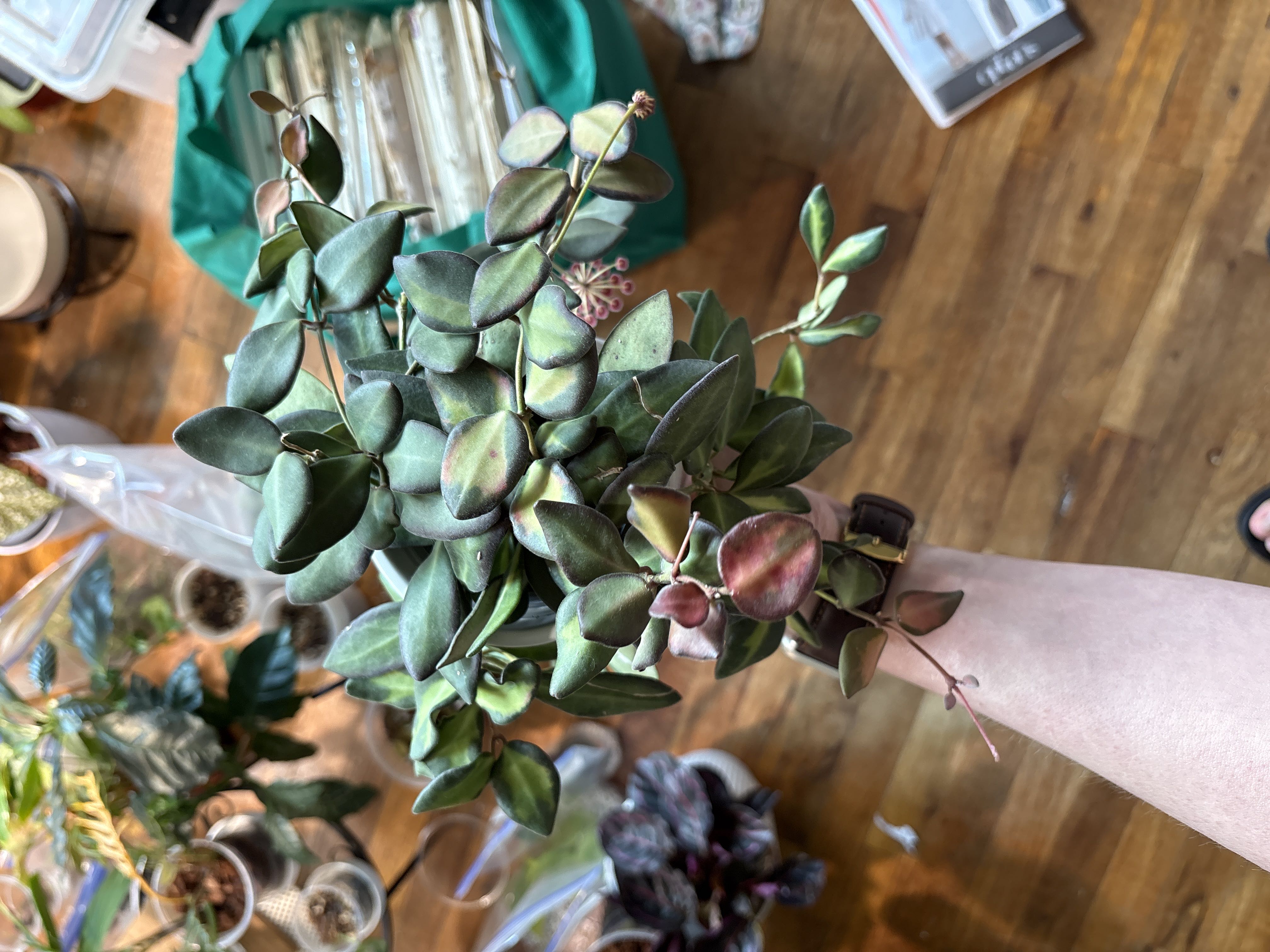 Photo from the post