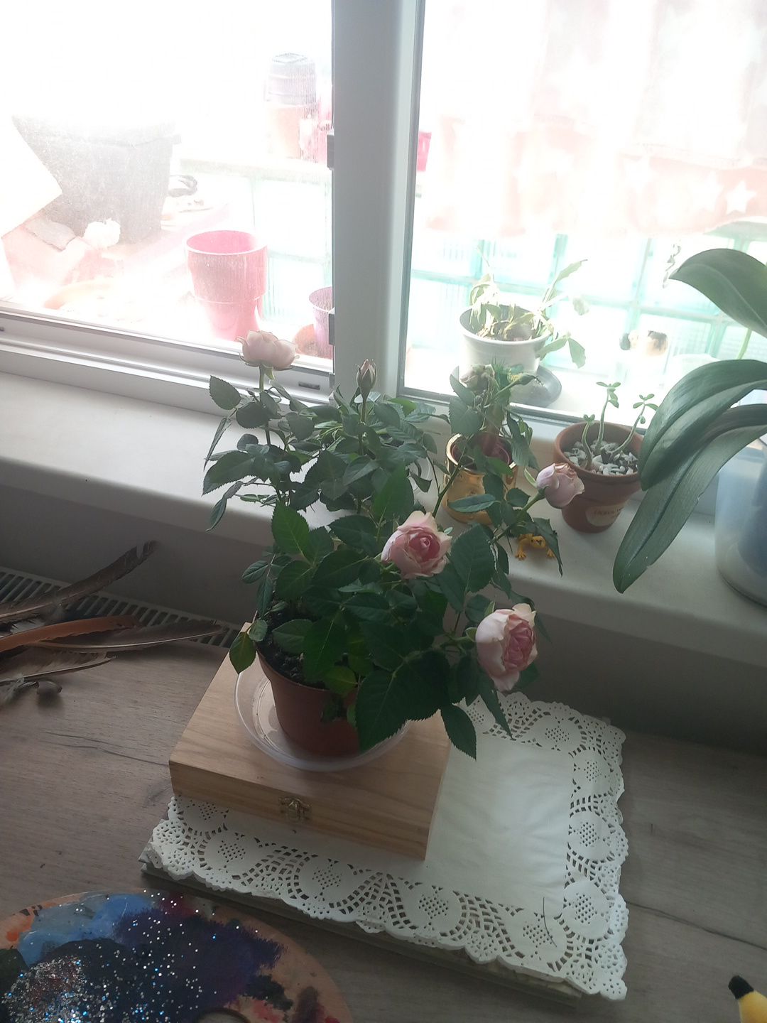 Photo from the post