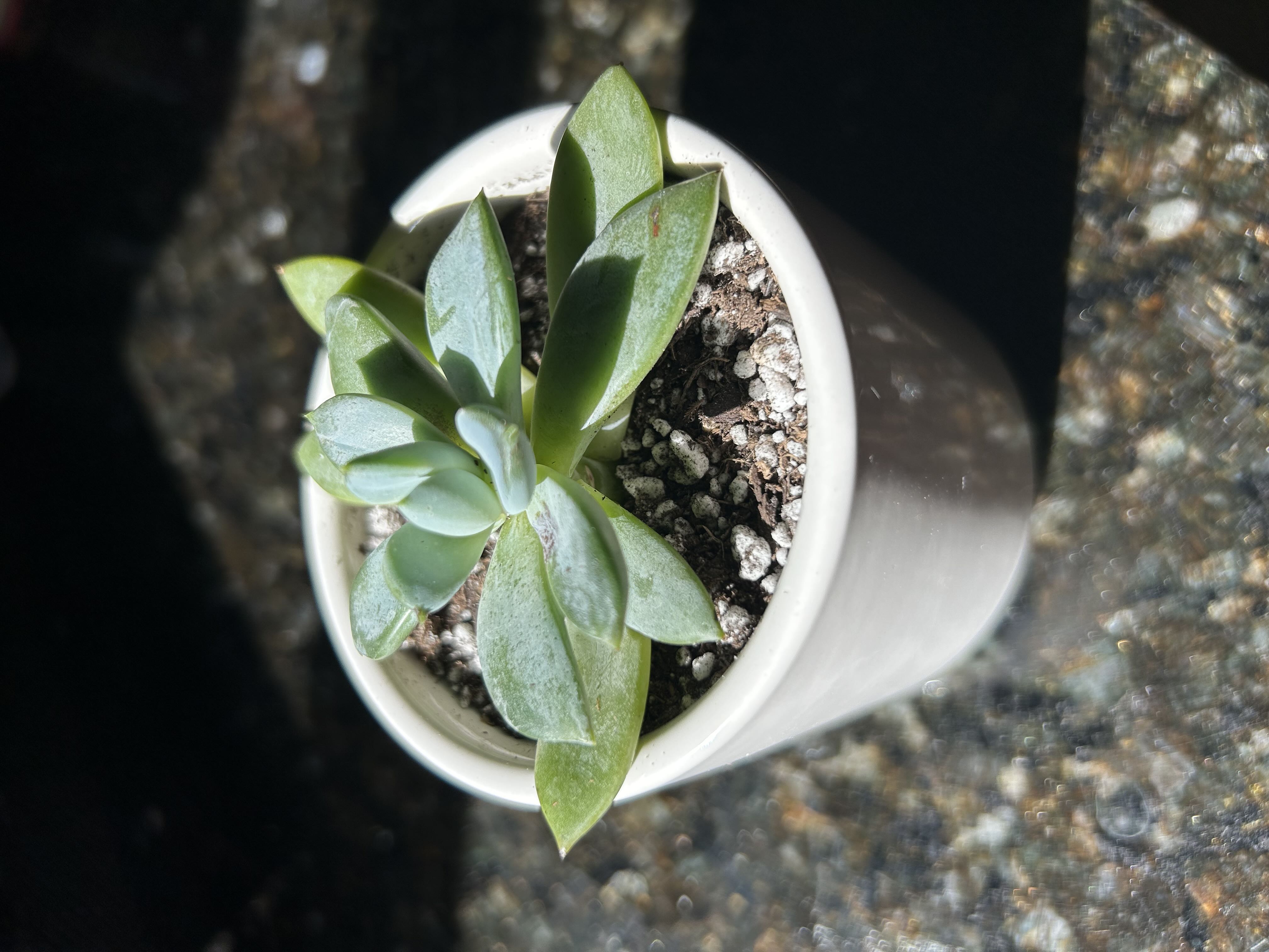 Photo from the post