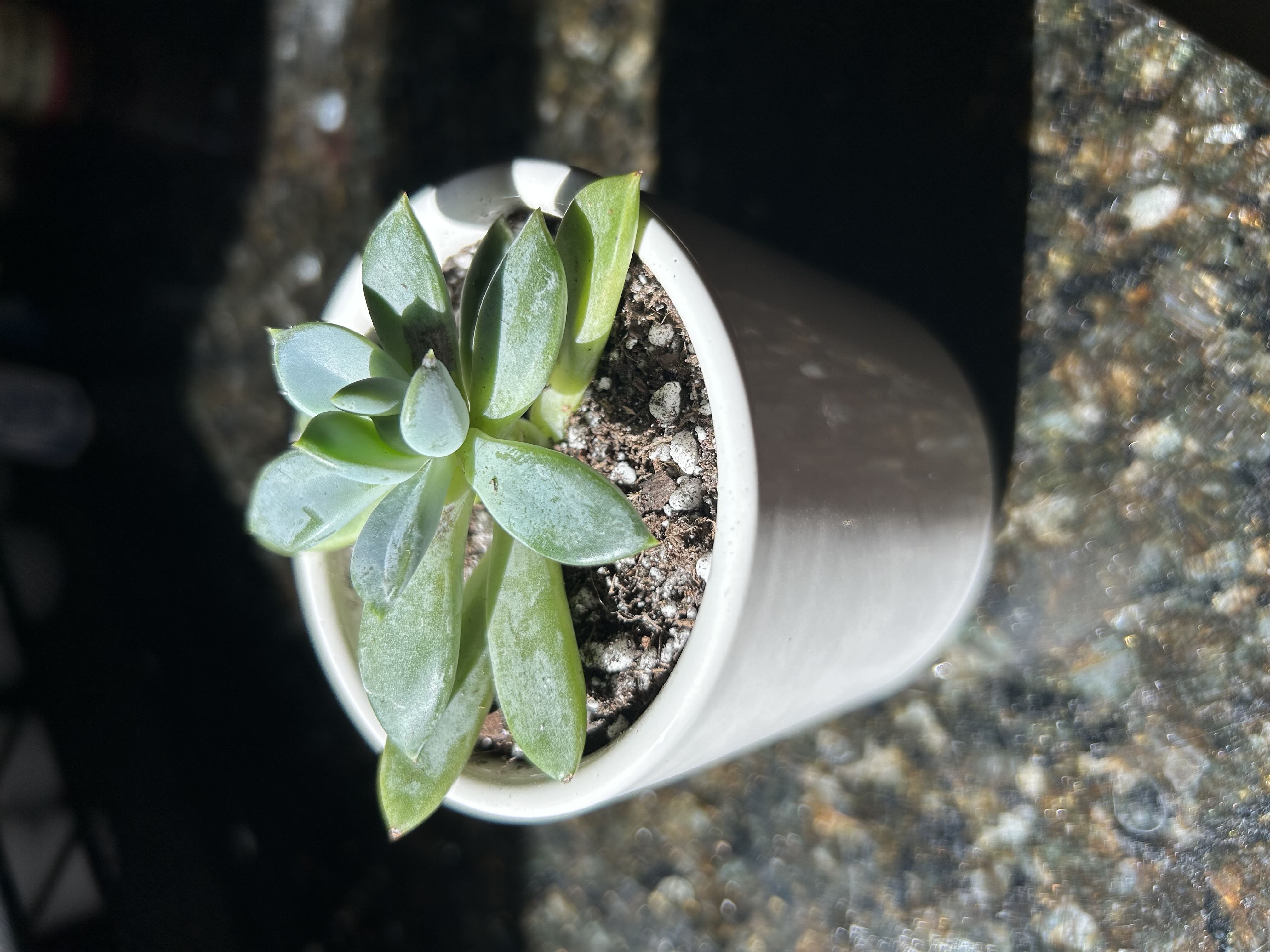 Photo from the post
