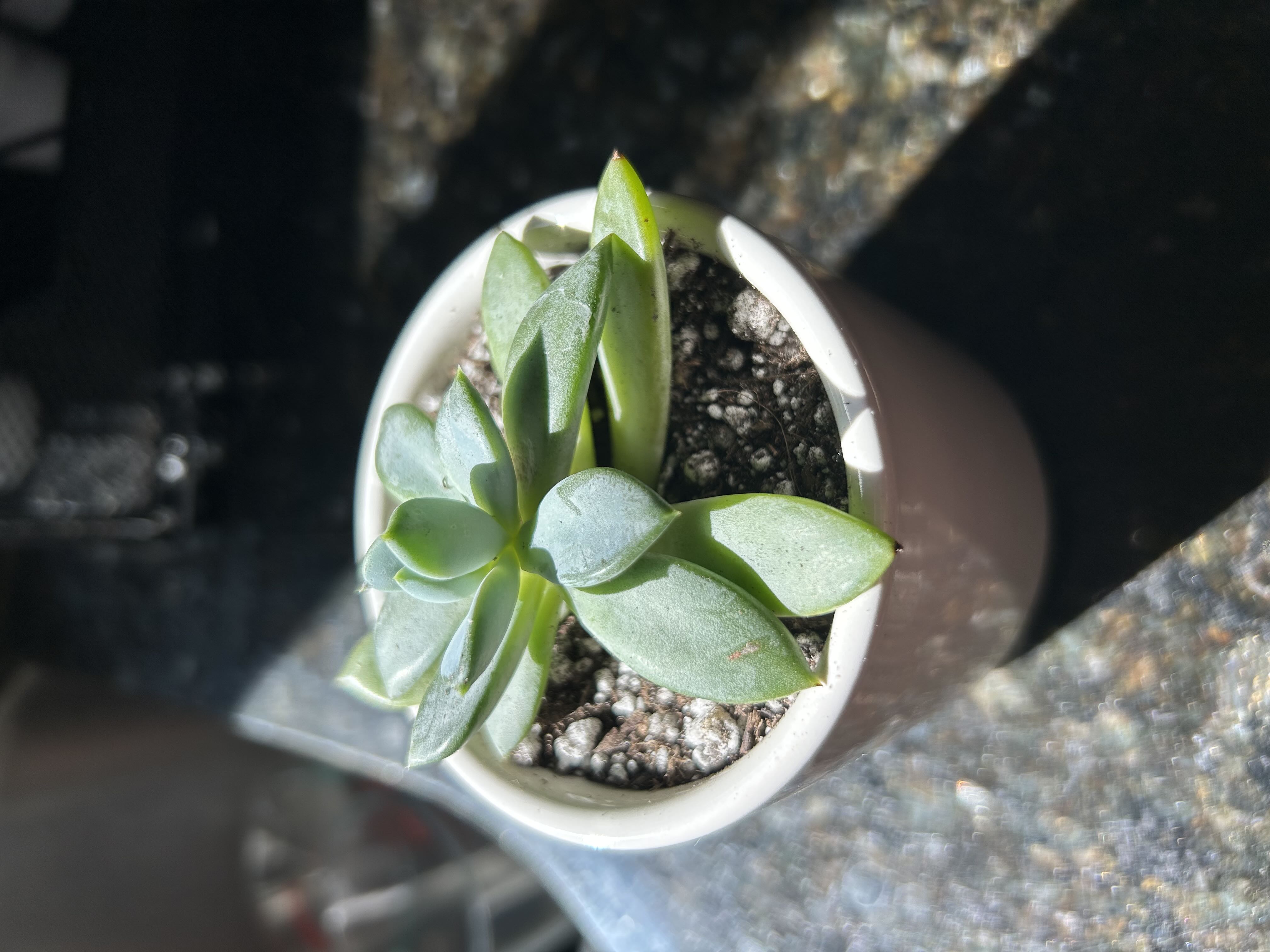 Photo from the post