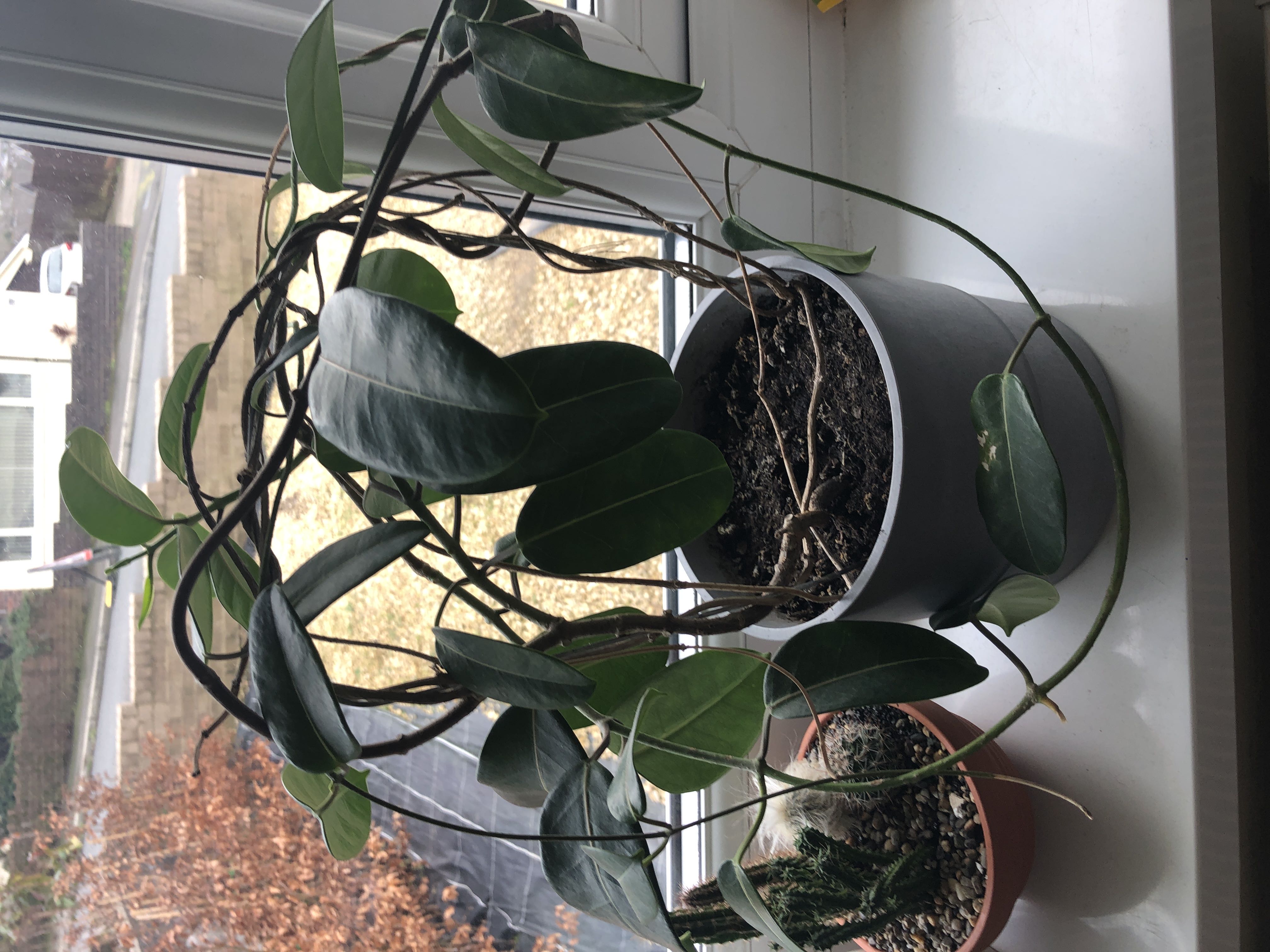 Photo from the post