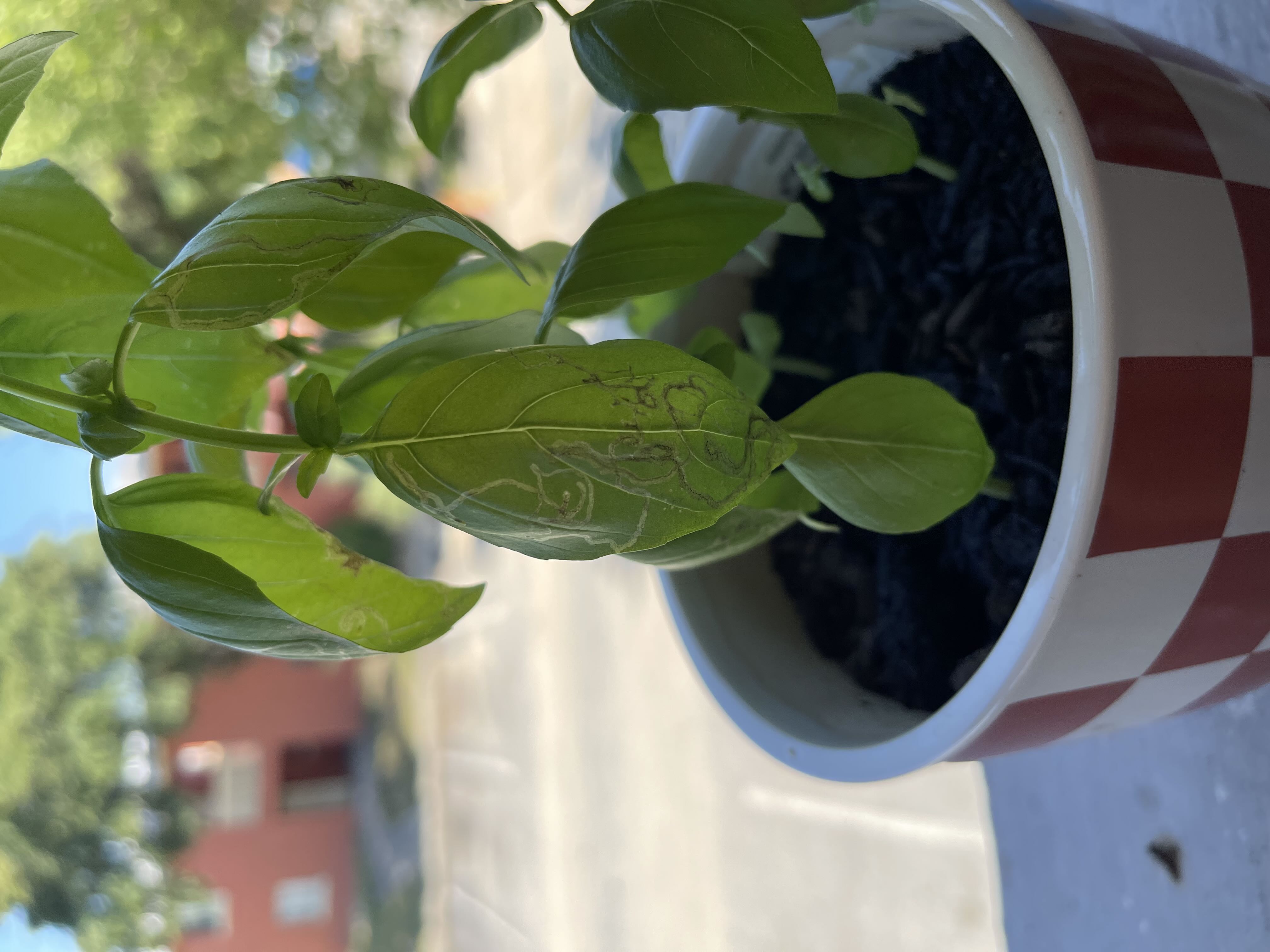 Photo from the post