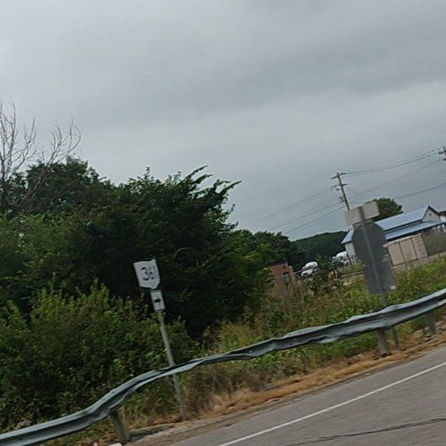 Photo of the plant species Staghorn Sumac by @FabSkyplant90 named Eva on Greg, the plant care app