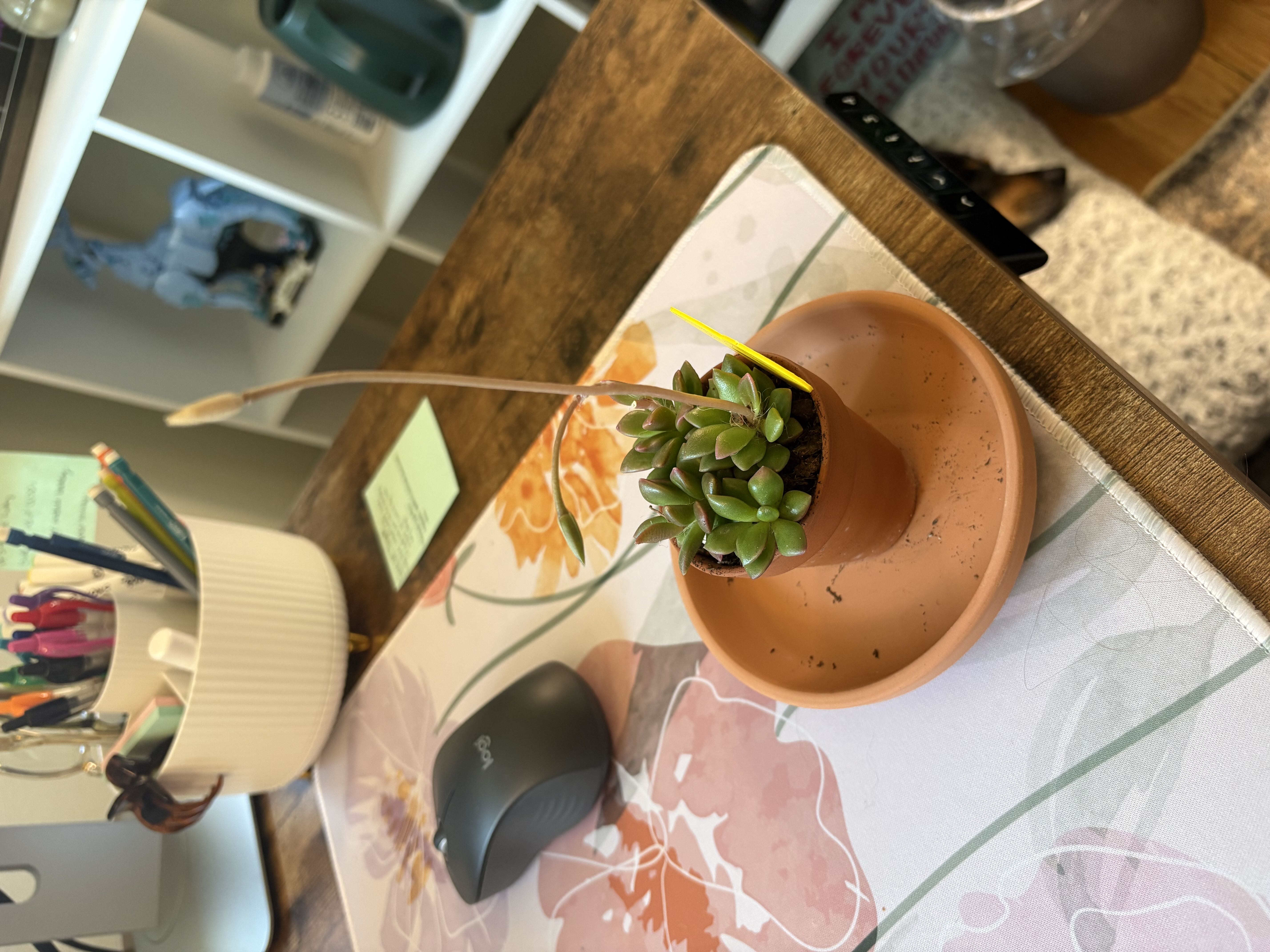 Photo from the post