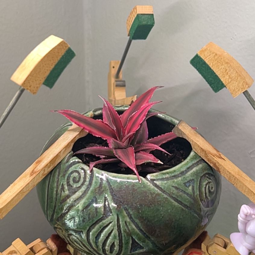 Captain Plant-it