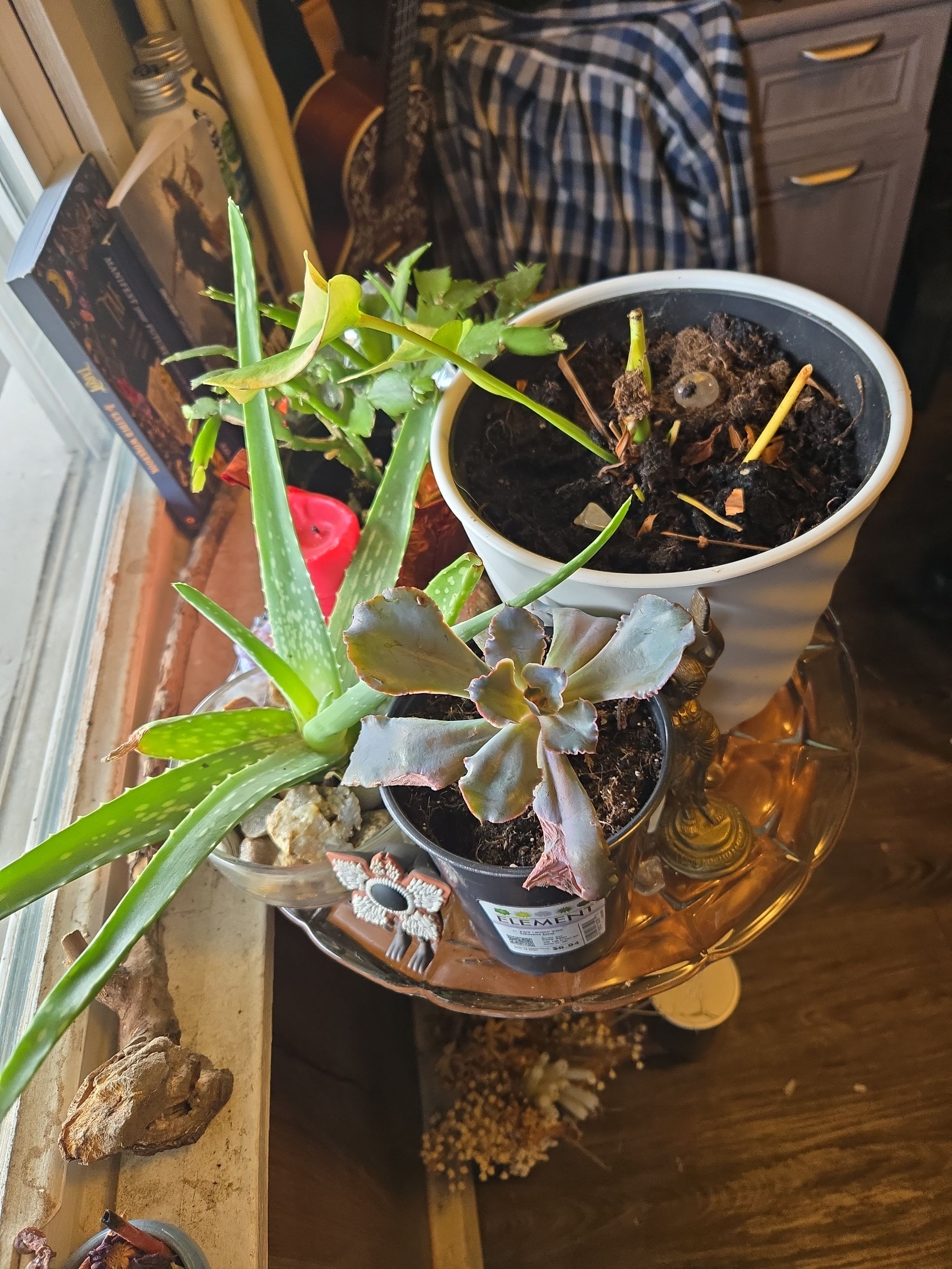 Photo from the post