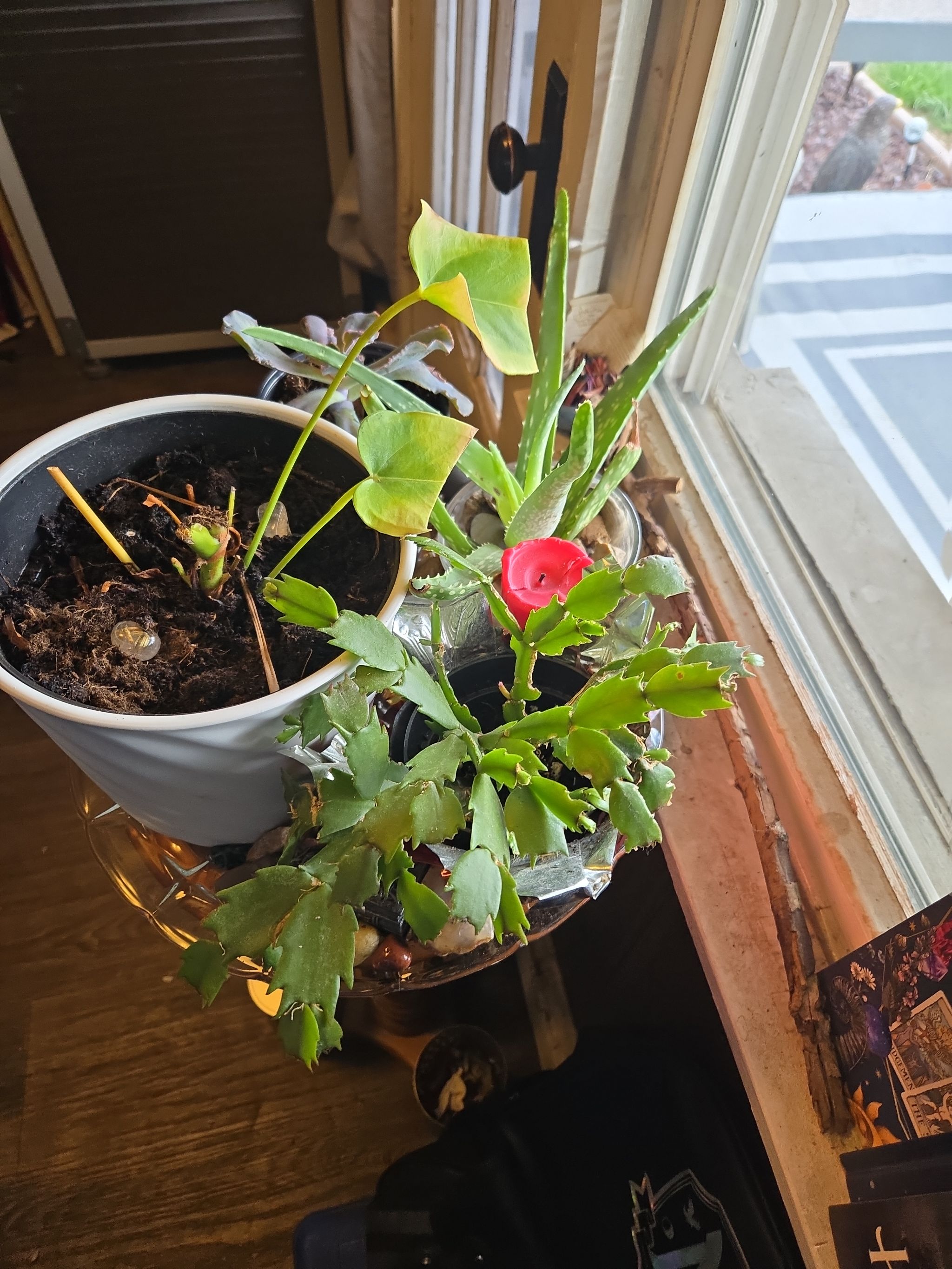 Photo from the post