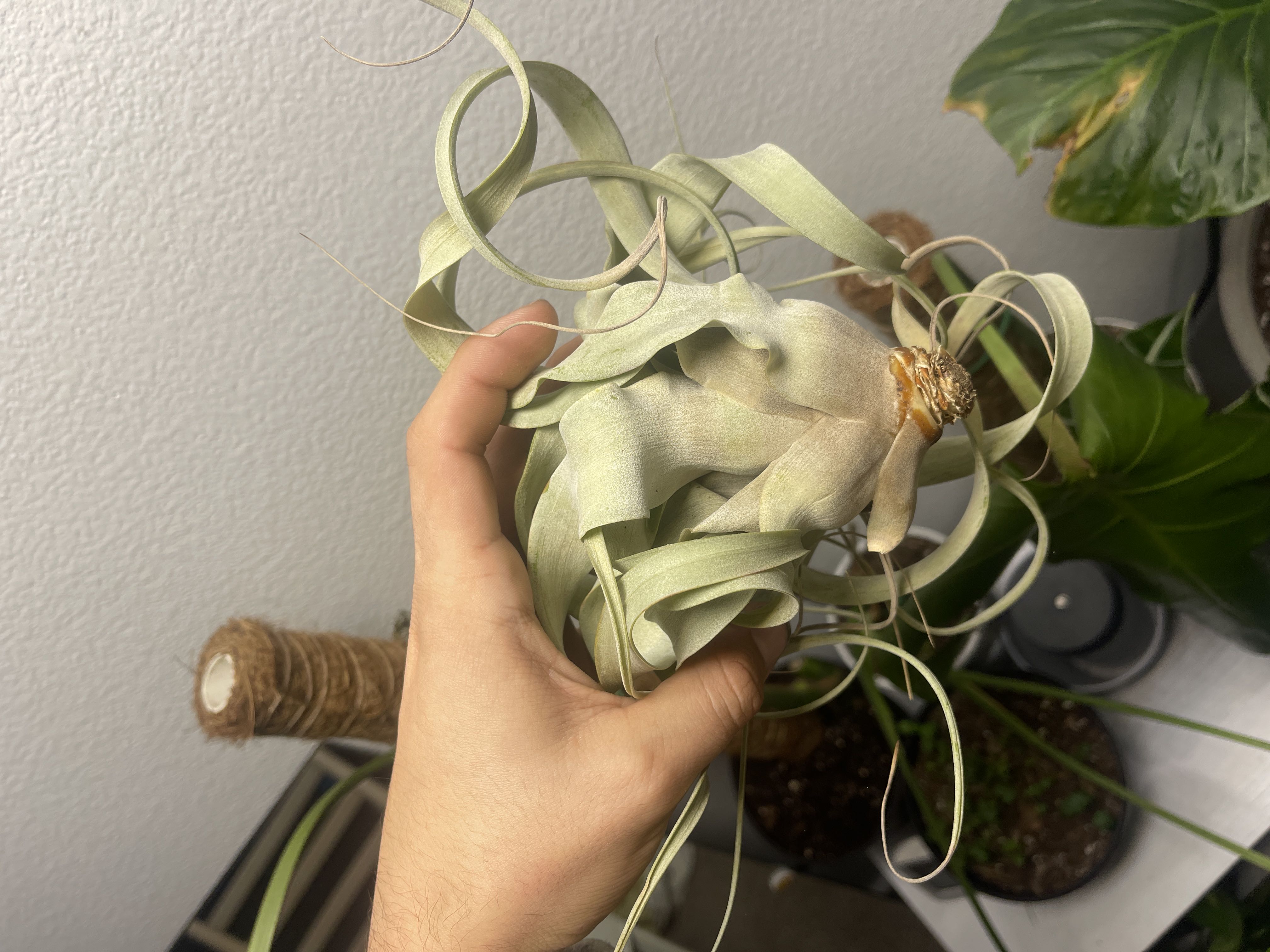 Photo from the post