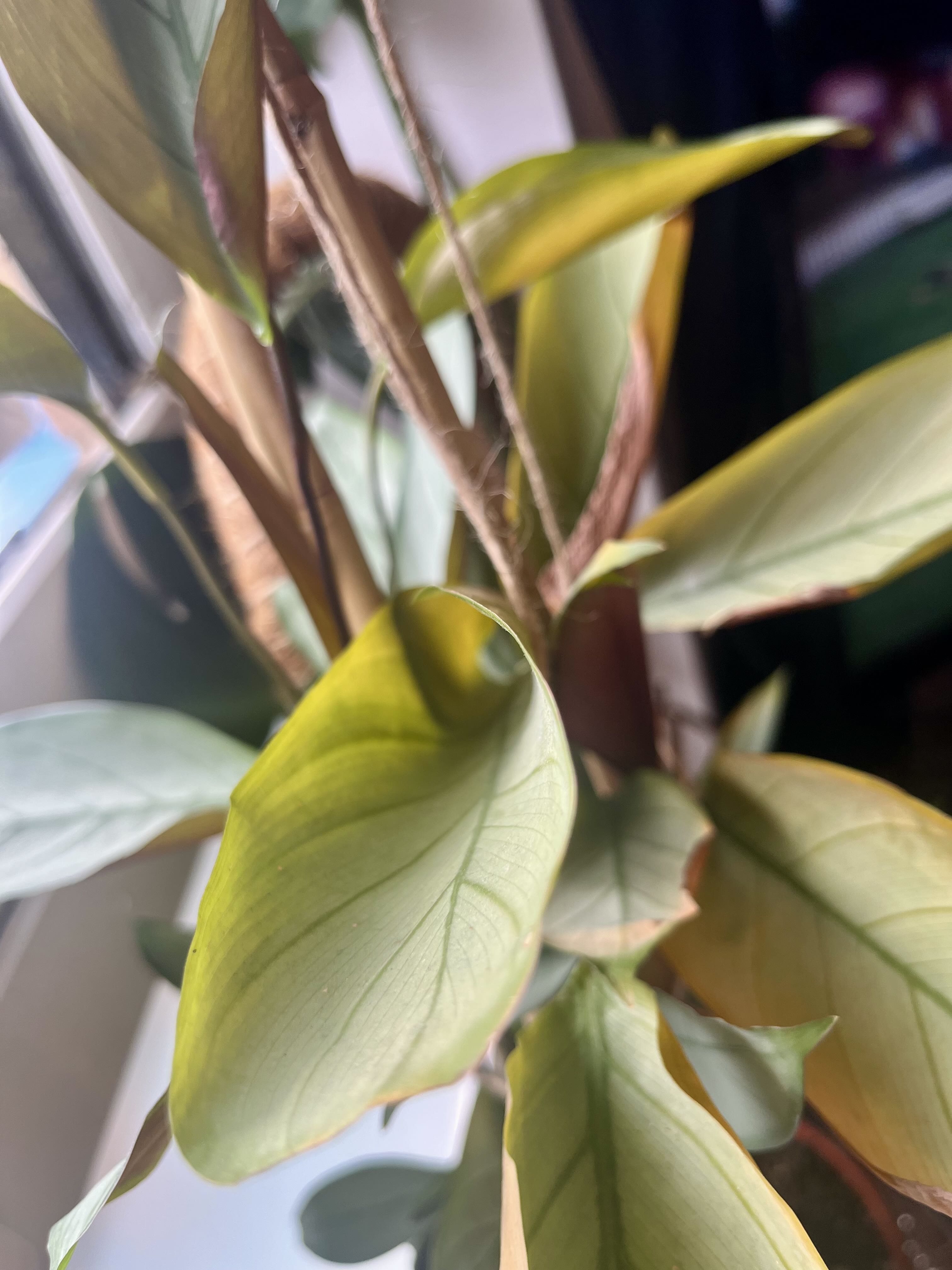 Photo from the post