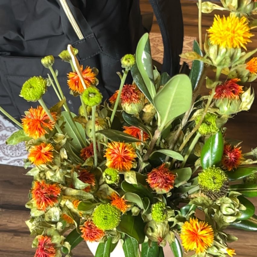 Photo of the plant species Safflower by @CuteTule15 named James Dean on Greg, the plant care app