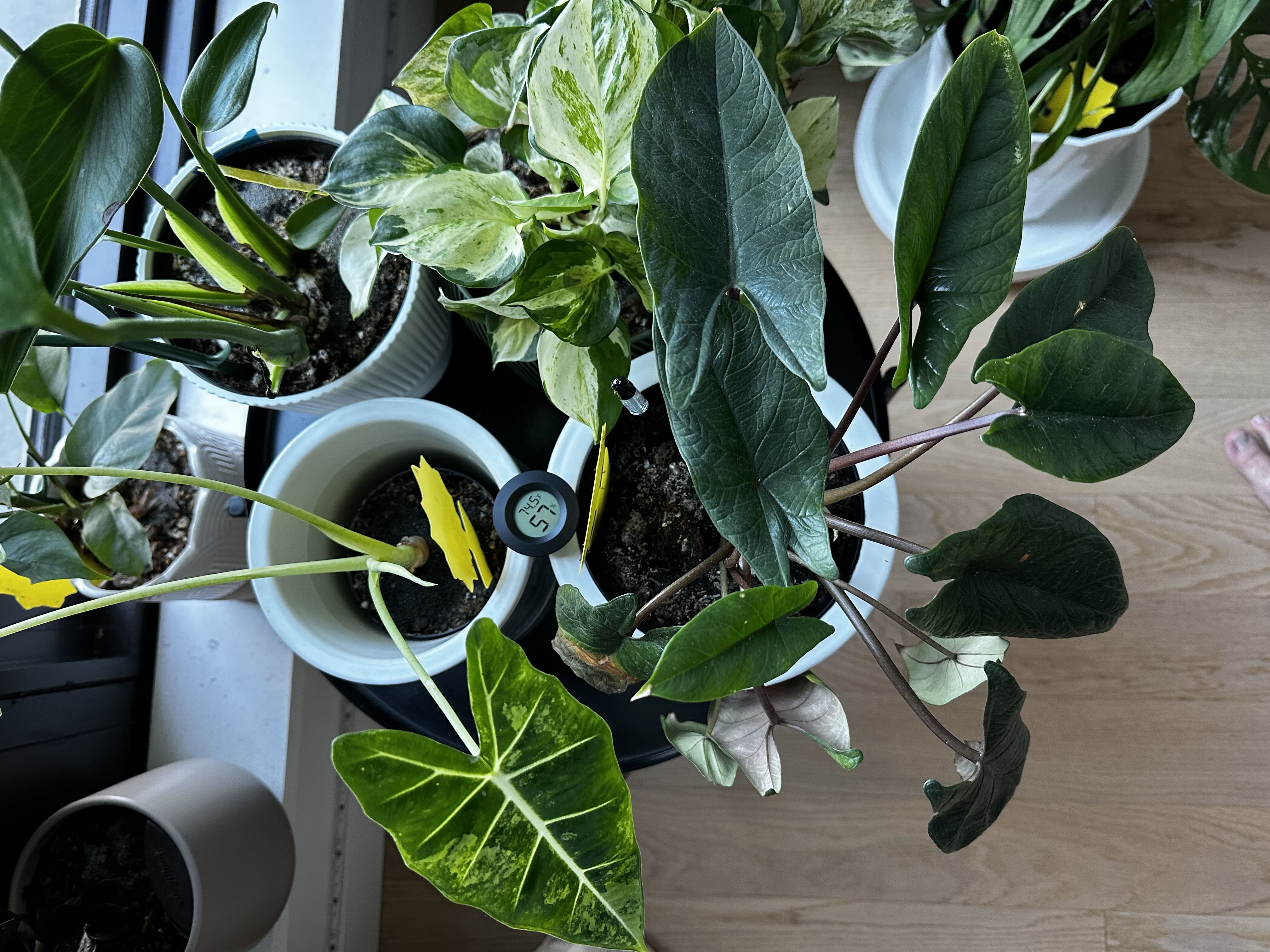 Photo from the post