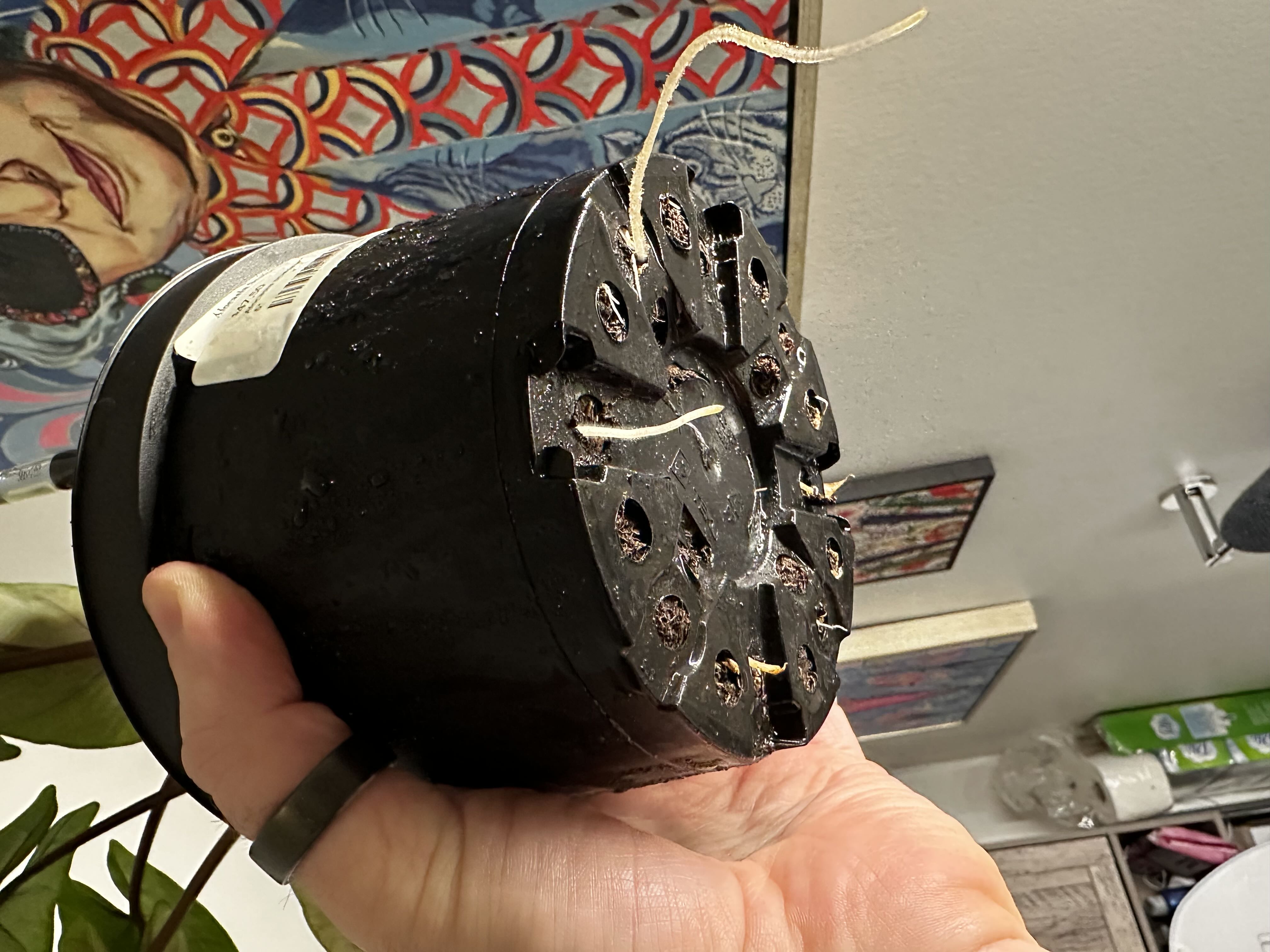 Photo from the post